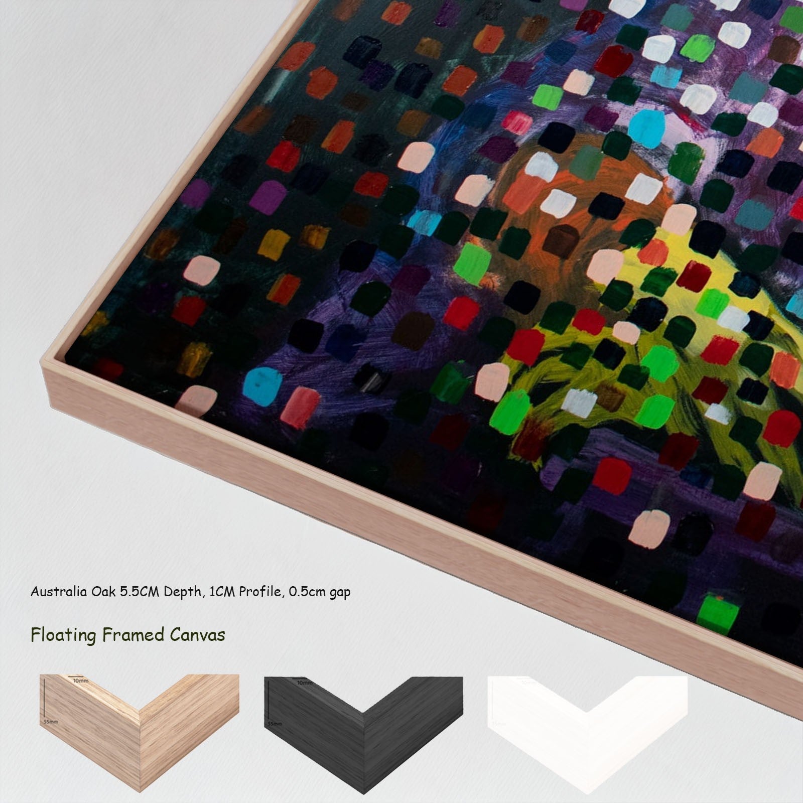 1031N - 1031N_floating_frames_canvas_7