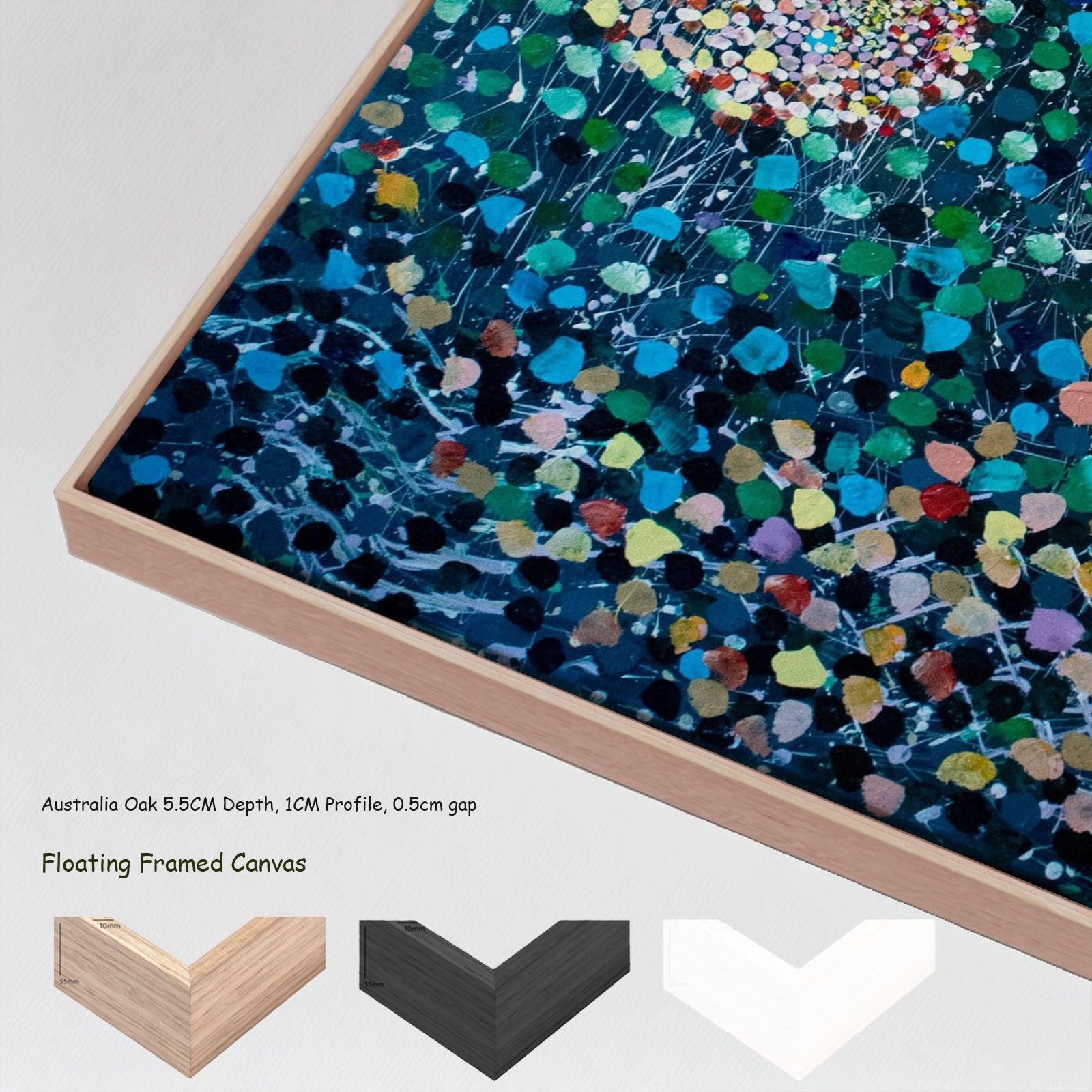 1037N - 1037N_floating_frames_canvas_7