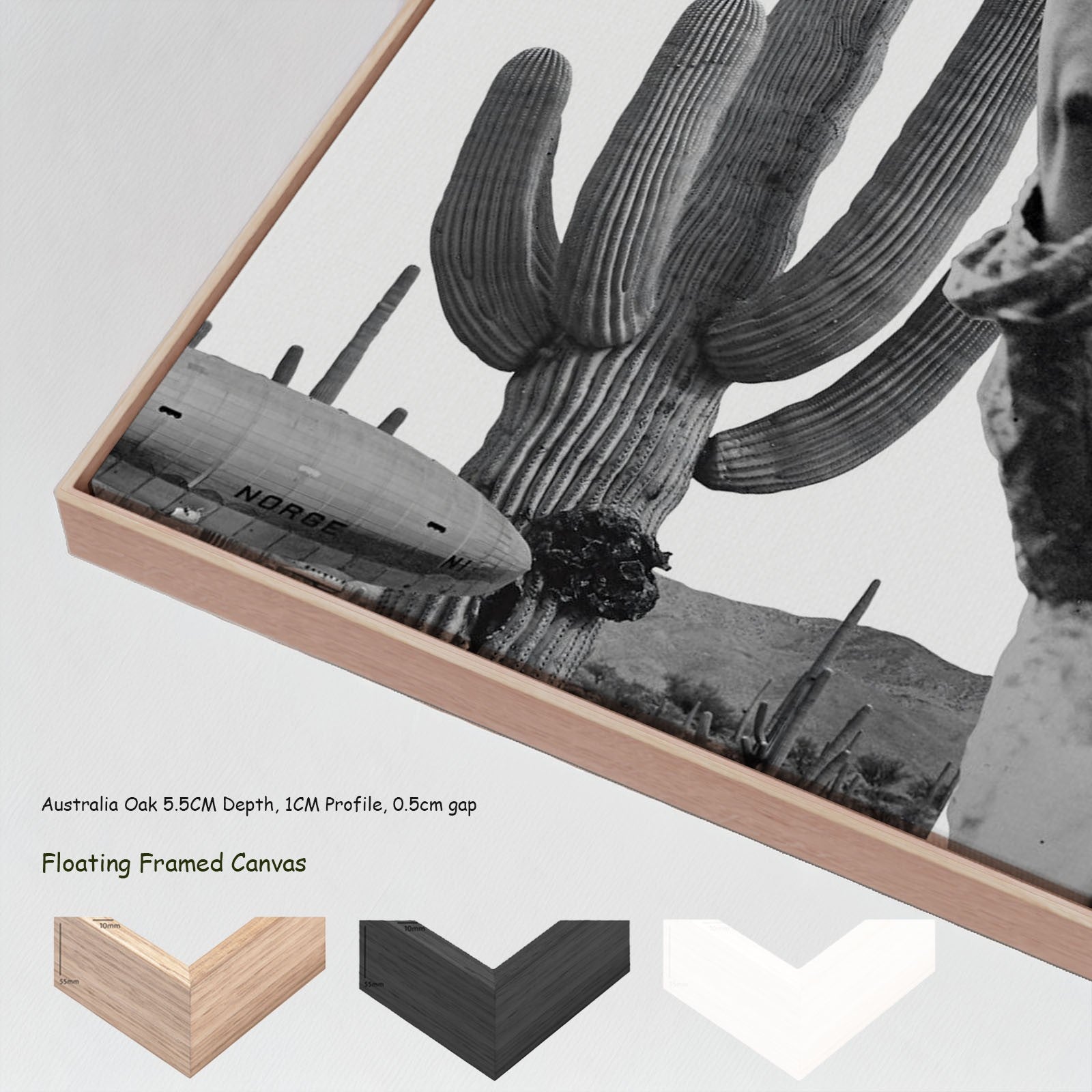 2312N - 2312N_floating_frames_canvas_7