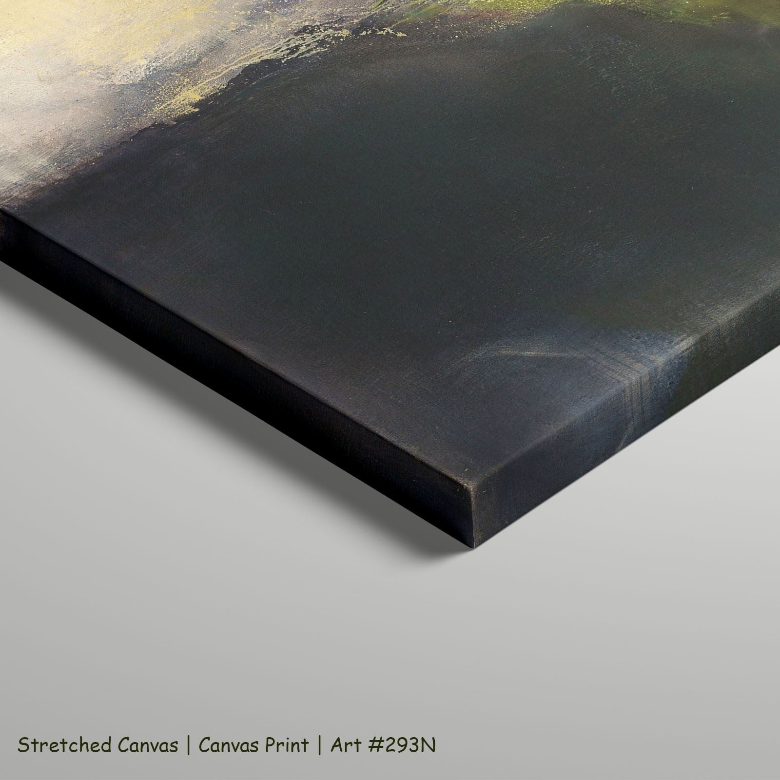 293N - 293N_stretched_canvas_5