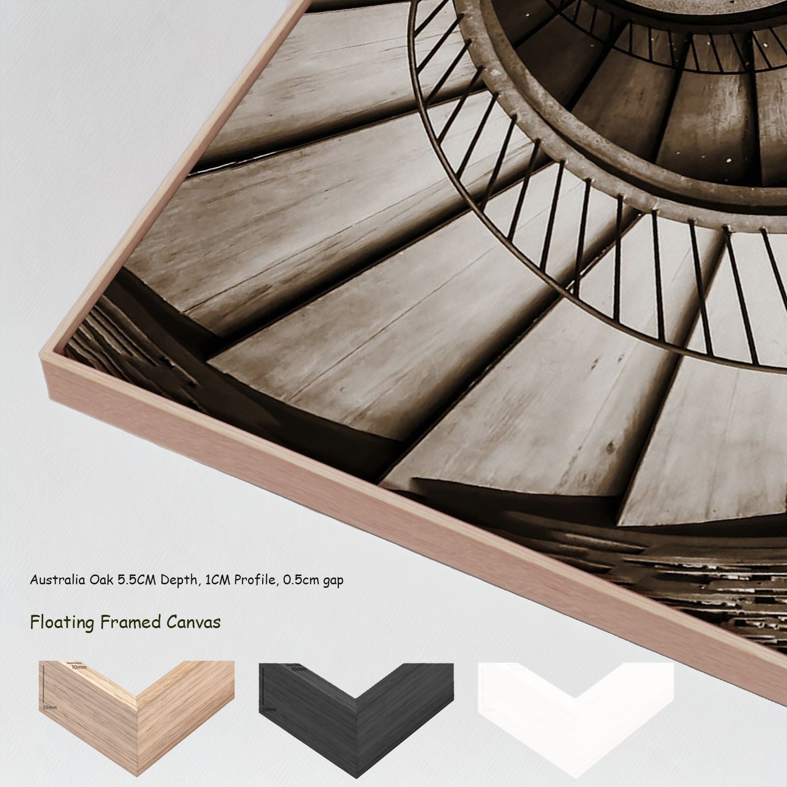 422N - 422N_floating_frames_canvas_7