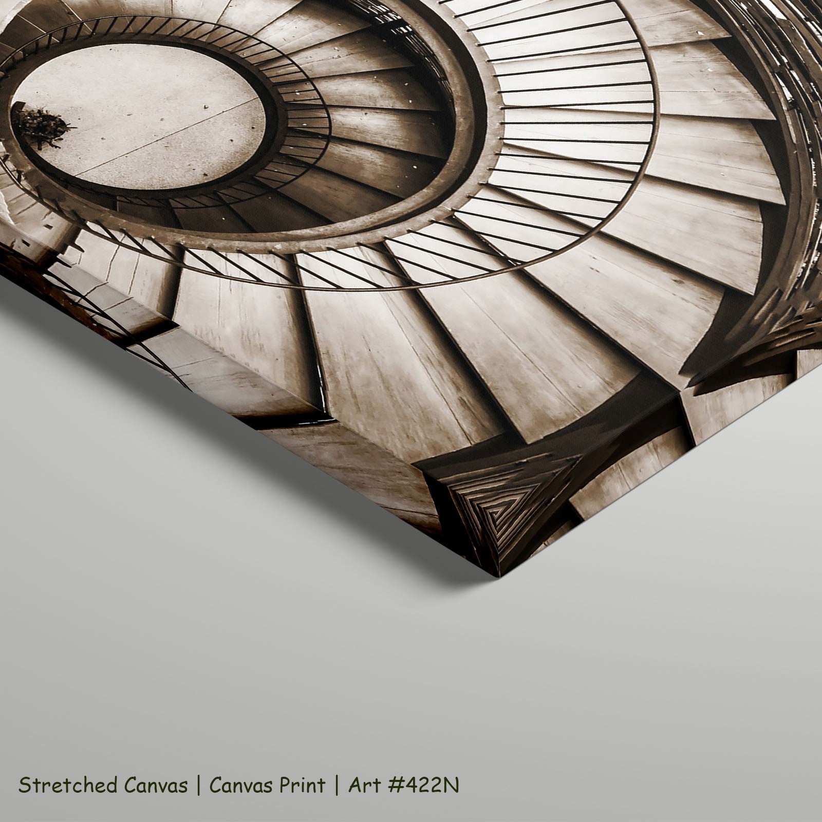 422N - 422N_stretched_canvas_5