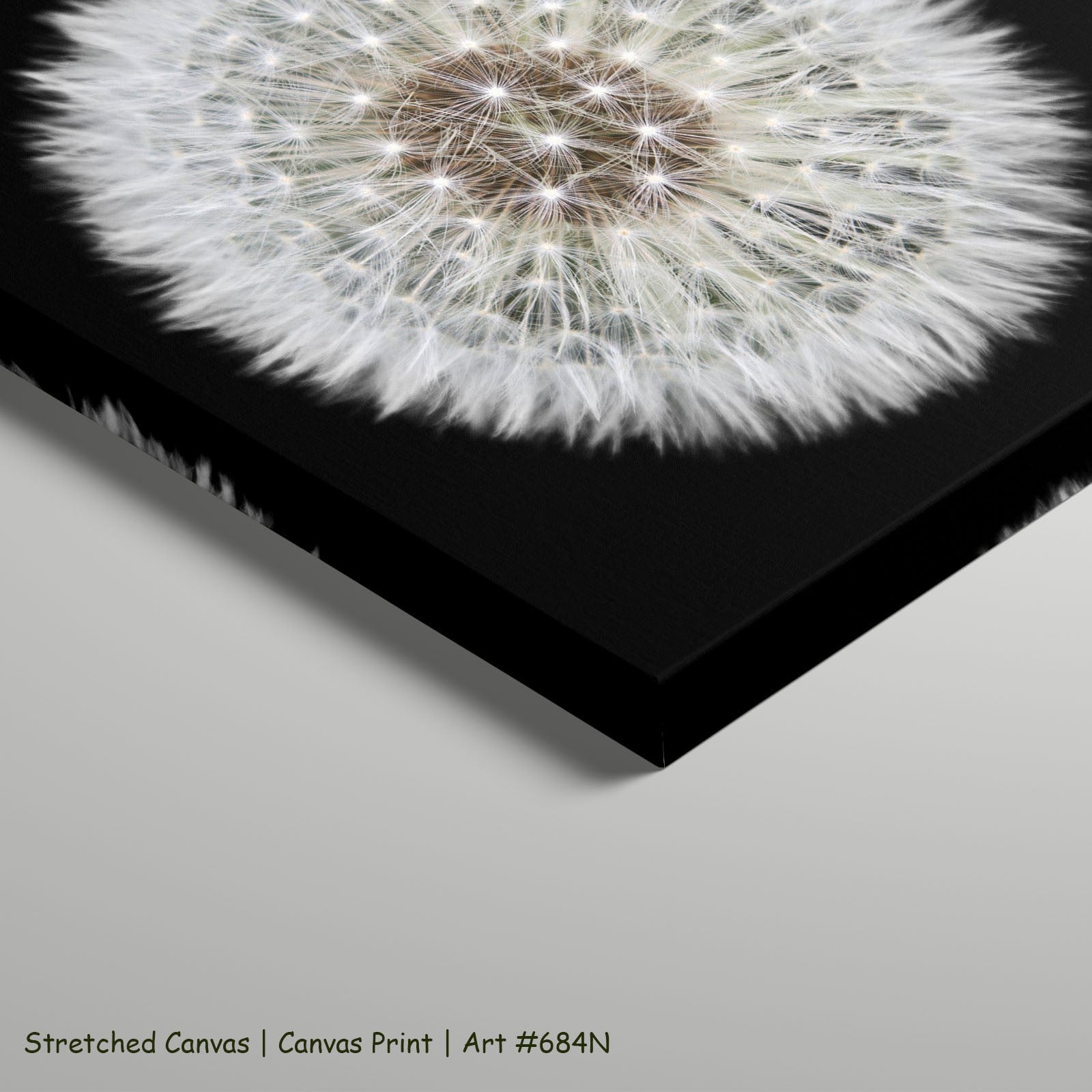 684N - 684N_stretched_canvas_5