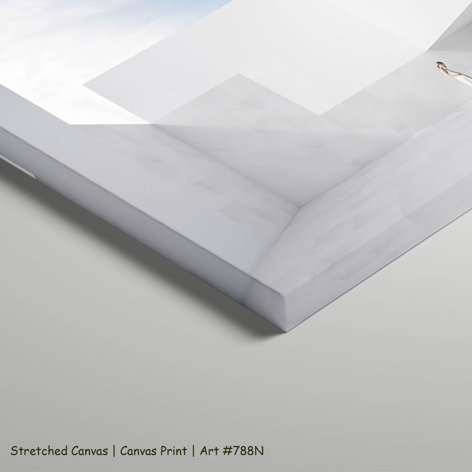 788N - 788N_stretched_canvas_5