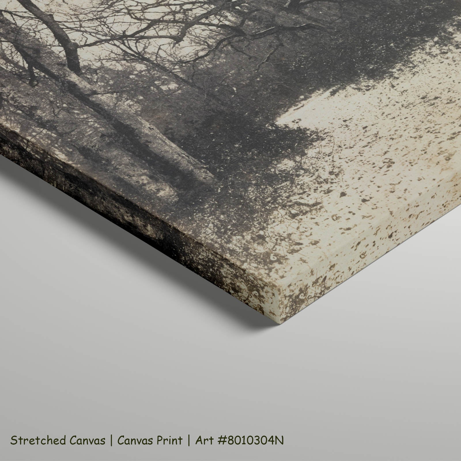 Fontainebleau Forest Landscape art on stretched canvas
