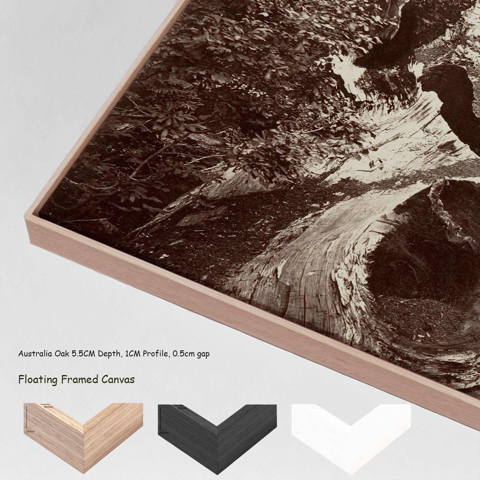 The Father of the Forest, Calaveras Grove canvas wall art with floating frame options
