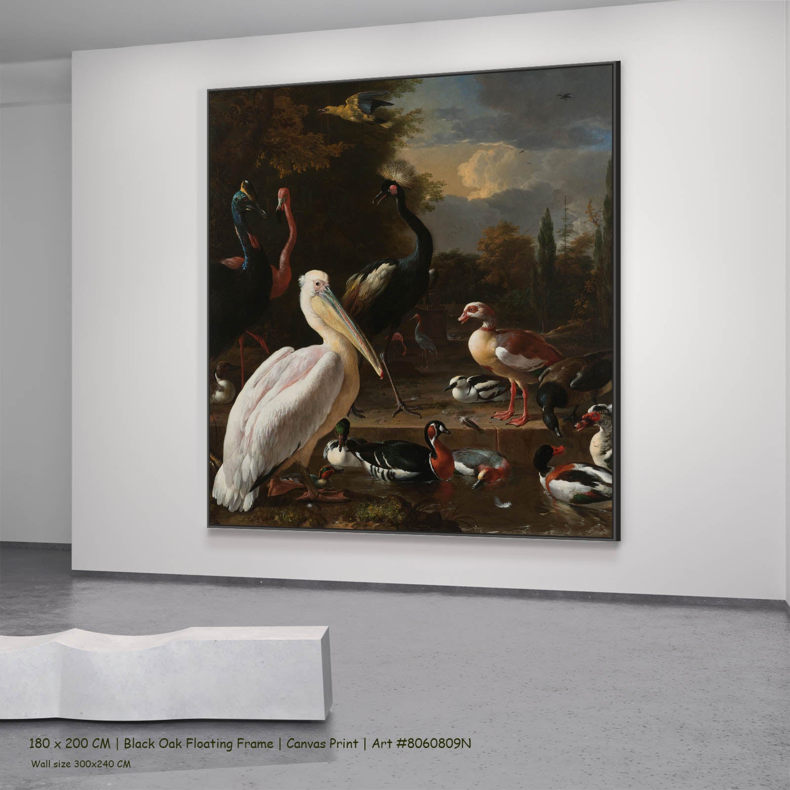 A Pelican & Other Birds (The Floating Feather) Wildlife canvas wall art in a black oak floating frame, 180 × 200 cm