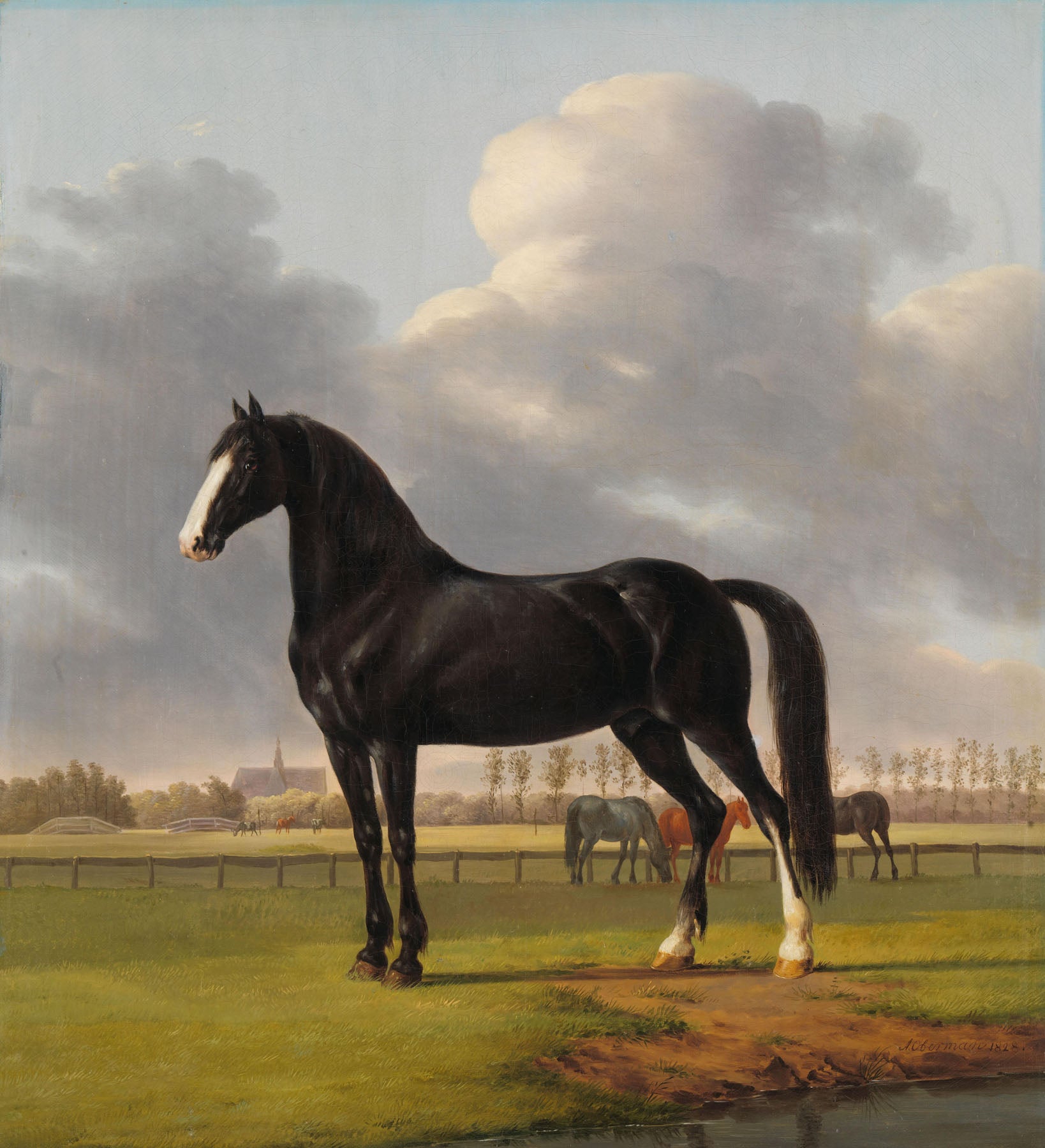 Adriaan van der Hoop's Trotter "De Vlugge" — Tall Equestrian canvas wall art by Anthony Oberman