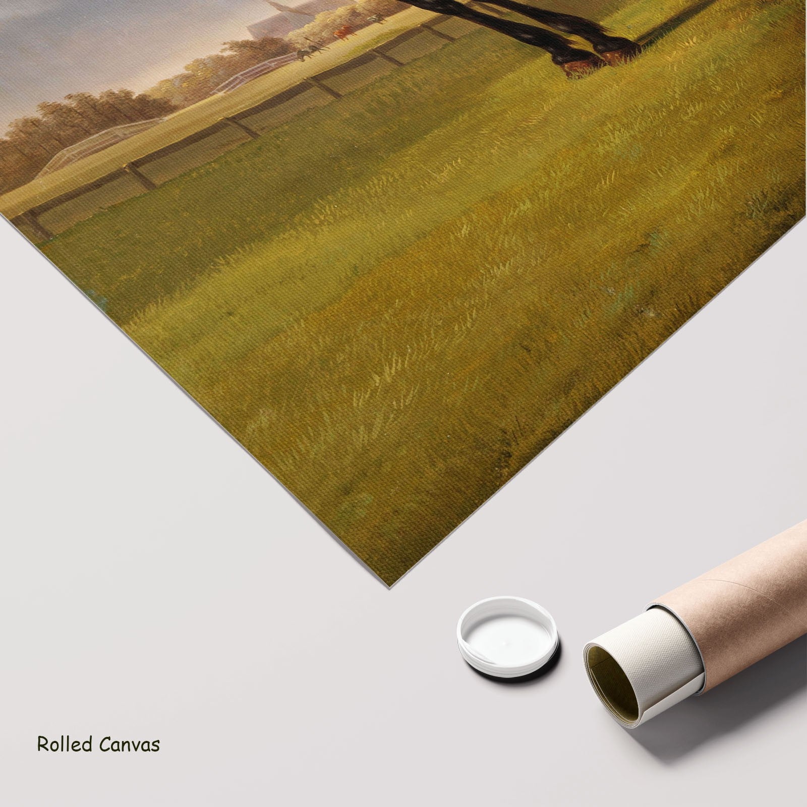 8070809N - 8070809N_rolled_canvas_6