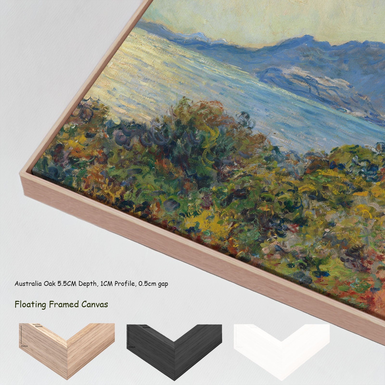 La Corniche near Monaco canvas wall art with floating frame options