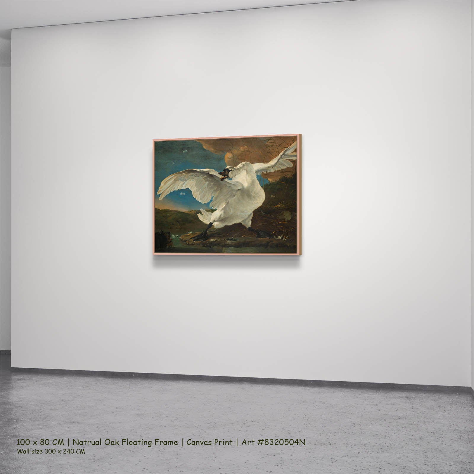 The Threatened Swan Wildlife canvas wall art in a natural oak floating frame, 100 × 80 cm