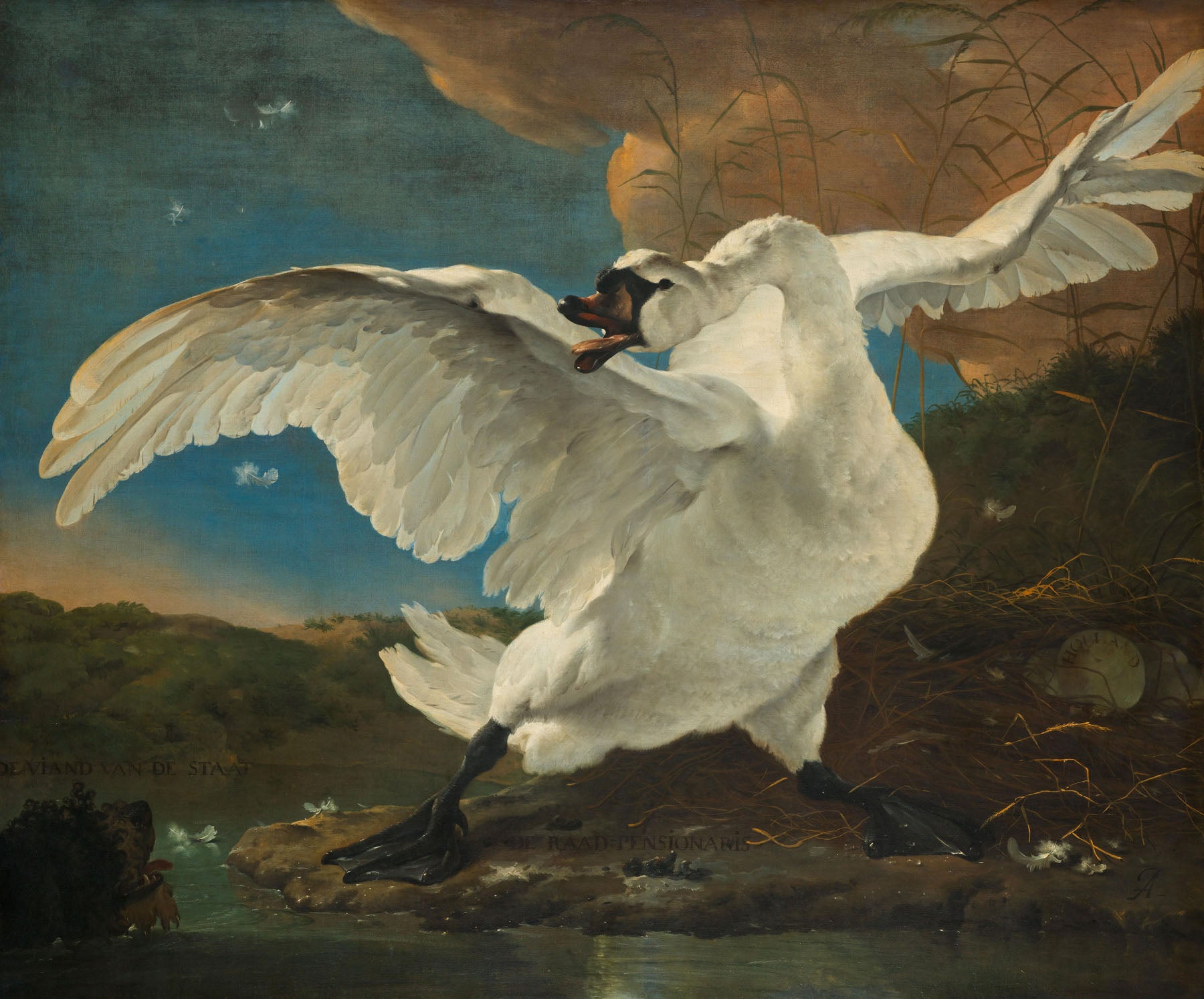 The Threatened Swan — Oversized Baroque Wildlife canvas wall art by Jan Asselijn