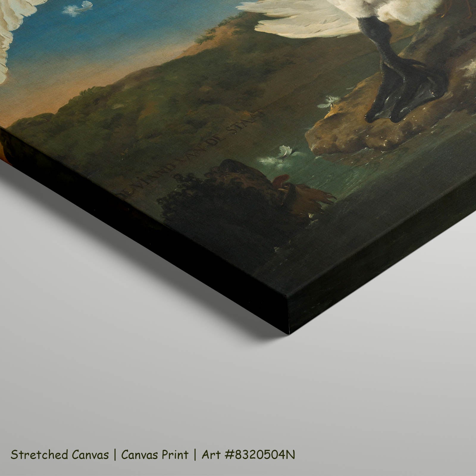 The Threatened Swan Wildlife art on stretched canvas