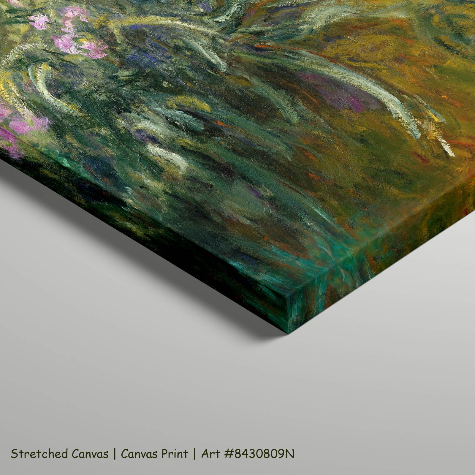 Path through the Irises Floral art on stretched canvas