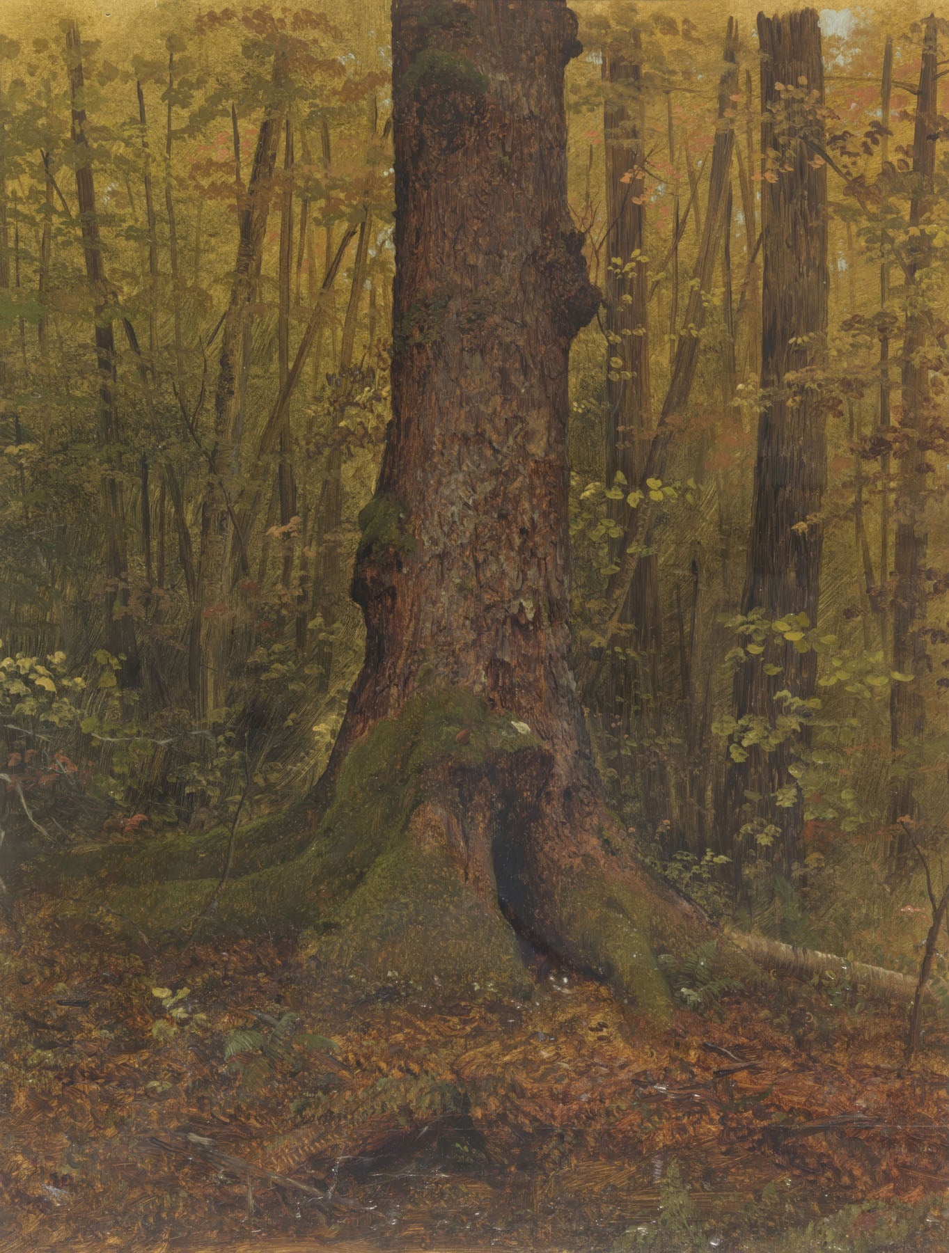 In the Woods, Maine — Tall Forest Landscape canvas wall art by Frederic Edwin Church