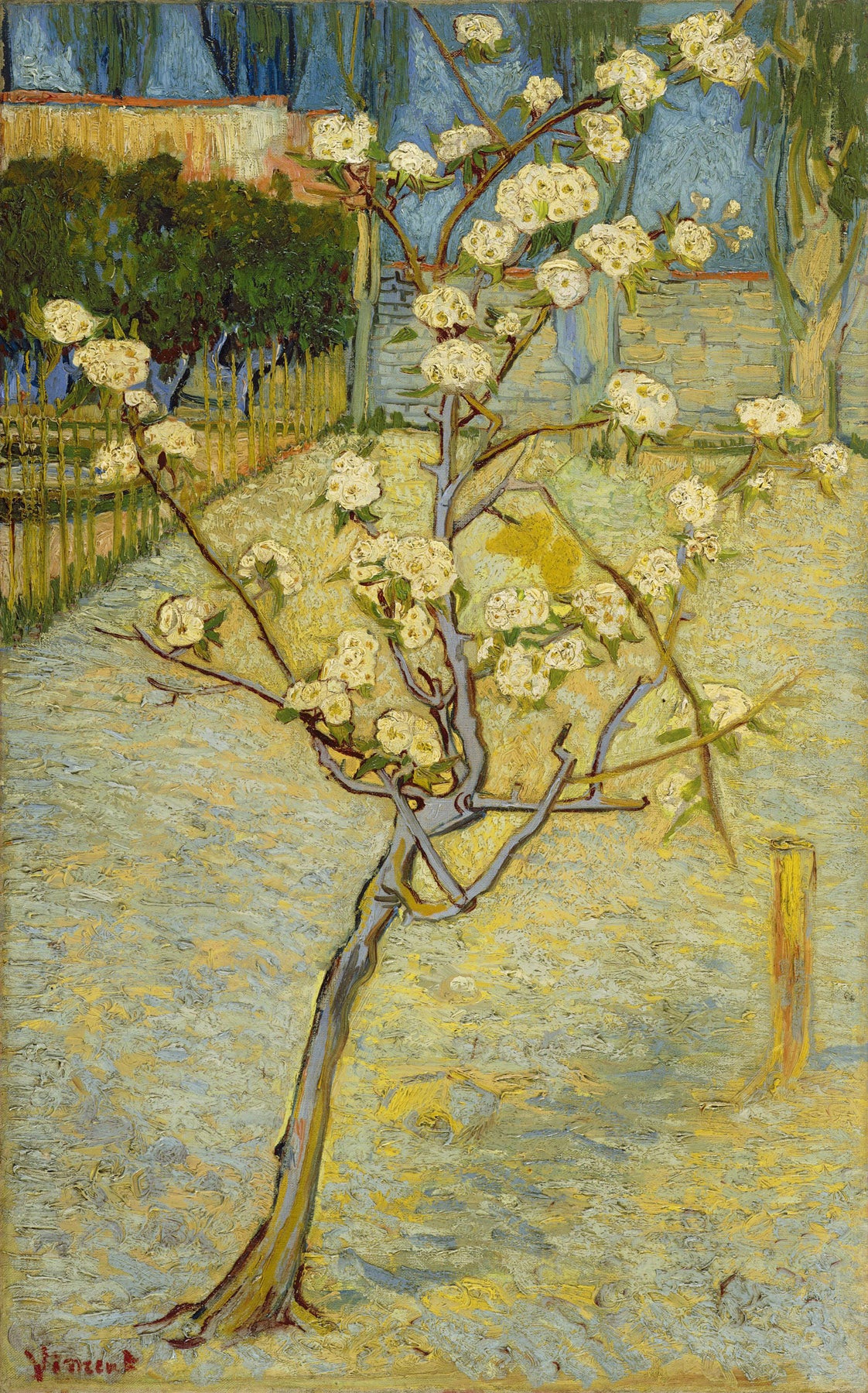 Large gold and green Impressionist canvas print of Small Pear Tree in Blossom by Vincent van Gogh