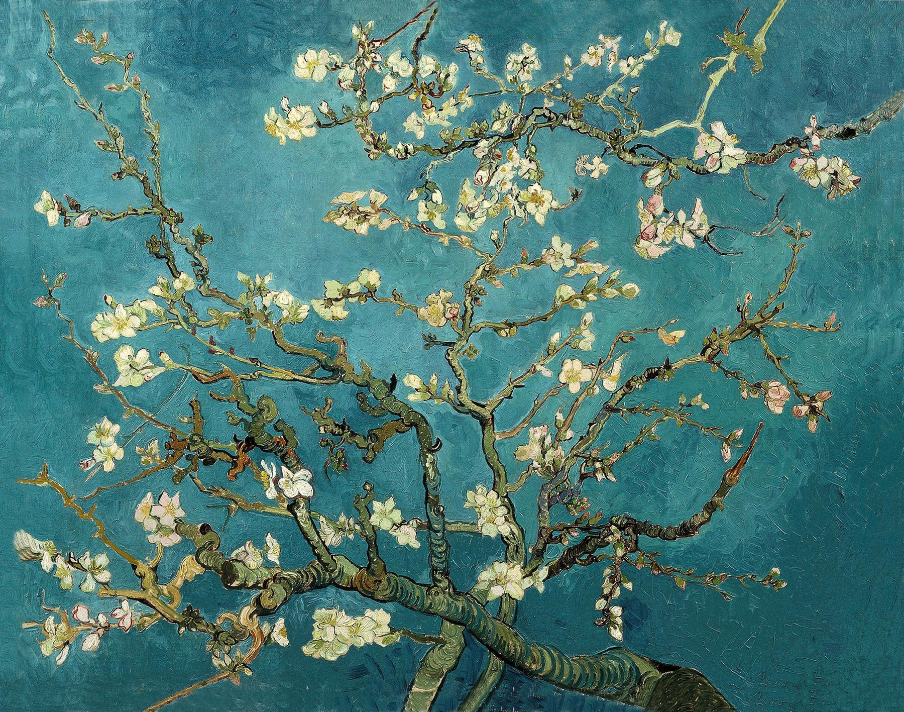 Large aqua and white Impressionist canvas print of Almond Blossom by Vincent van Gogh