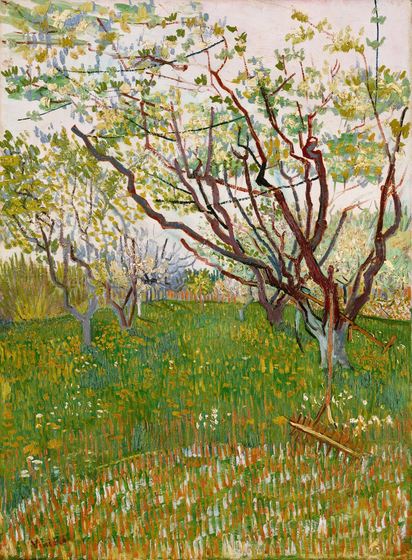 Large green and white Impressionist canvas print of The Flowering Orchard by Vincent van Gogh