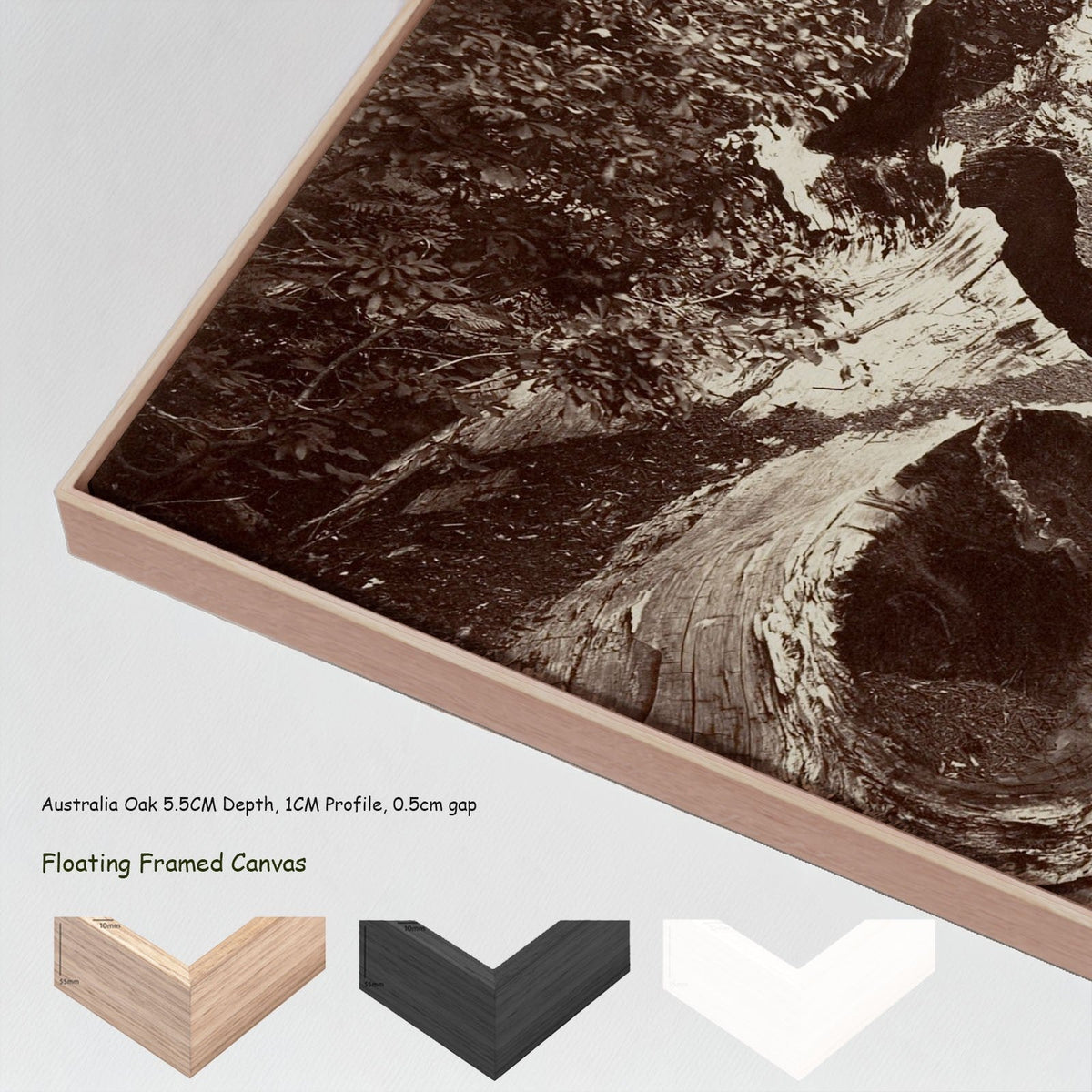 Carleton E. Watkins — The Father of the Forest, Calaveras Grove canvas wall art with floating frame options