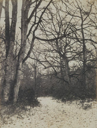 Fontainebleau Forest — Tall Forest Landscape canvas wall art by Eugène Cuvelier