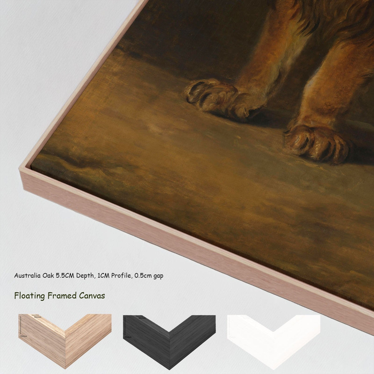 Pieter Gerardus van Os — A Lion from the Menagerie of King Louis Napoleon canvas wall art with floating frame options