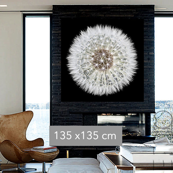 Dandelion Black & White Photography canvas wall art framed and hung on a wall