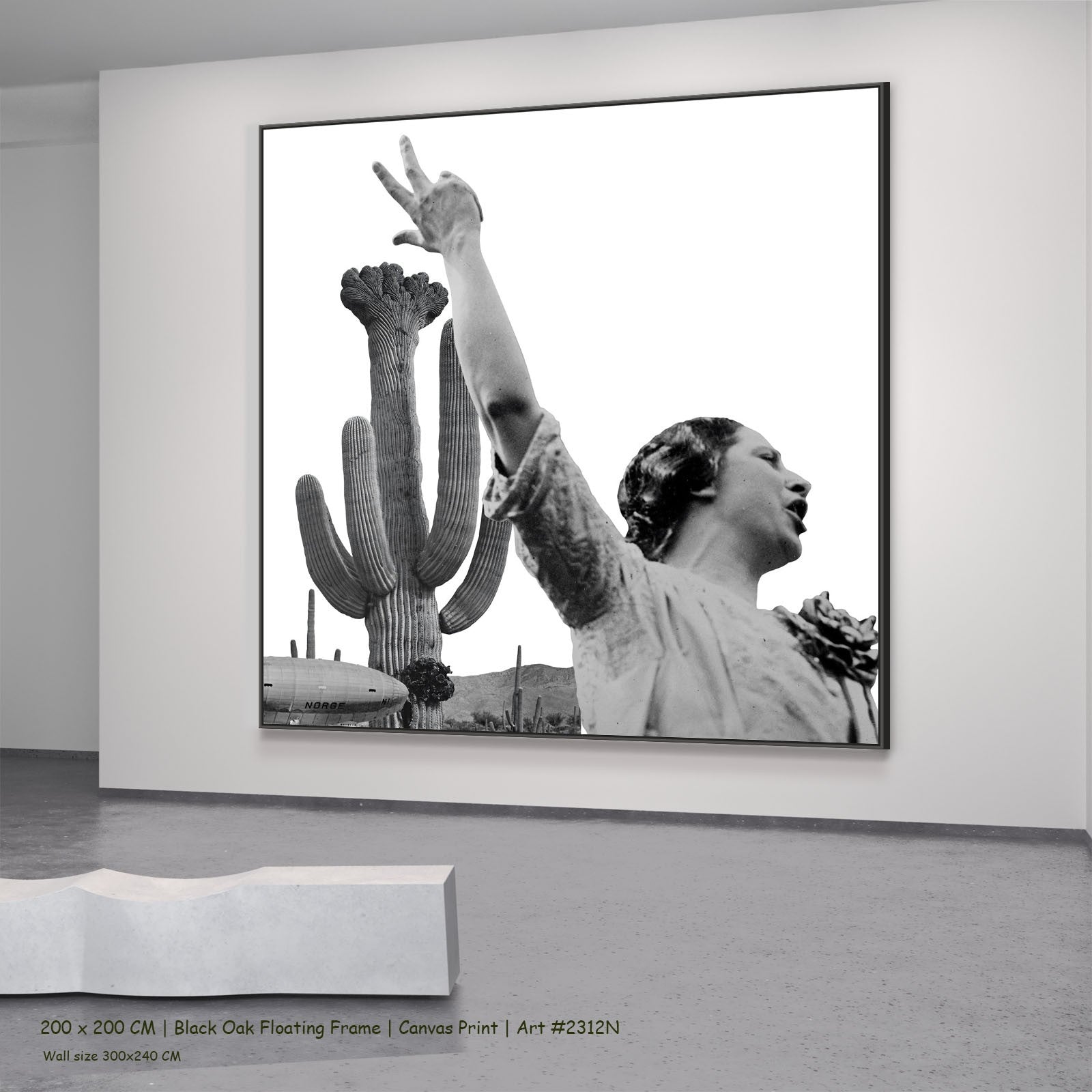 2312N - 2312N_200x200_black_oak_floating_frame_3