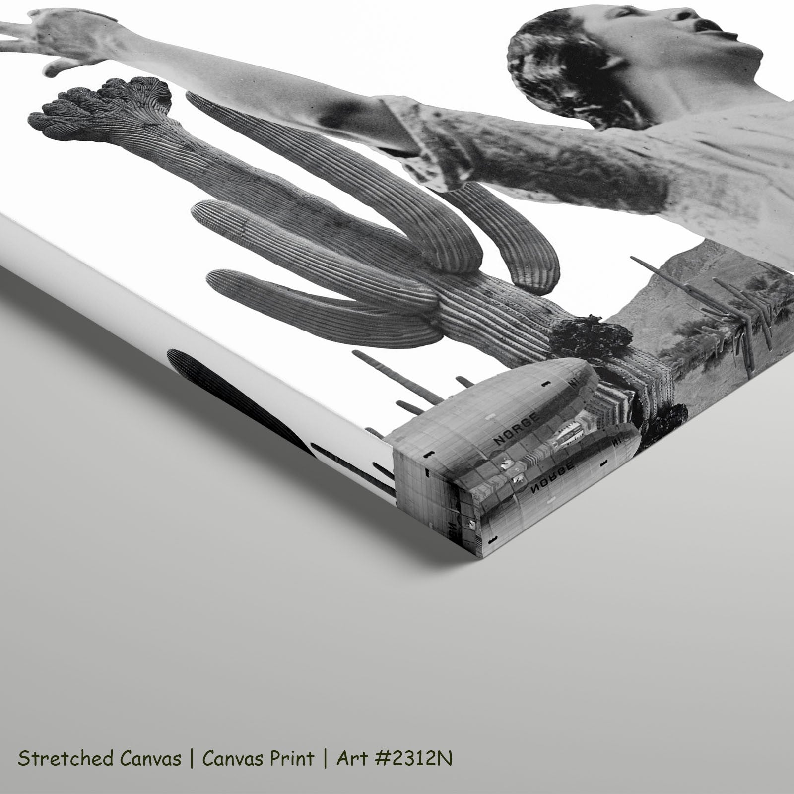2312N - 2312N_stretched_canvas_5
