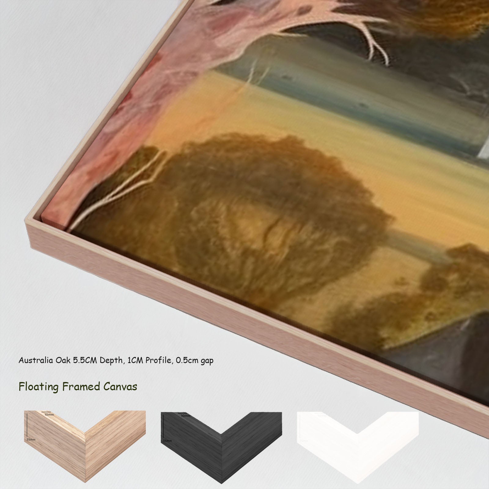 2317N — floating frames mockup, large canvas print