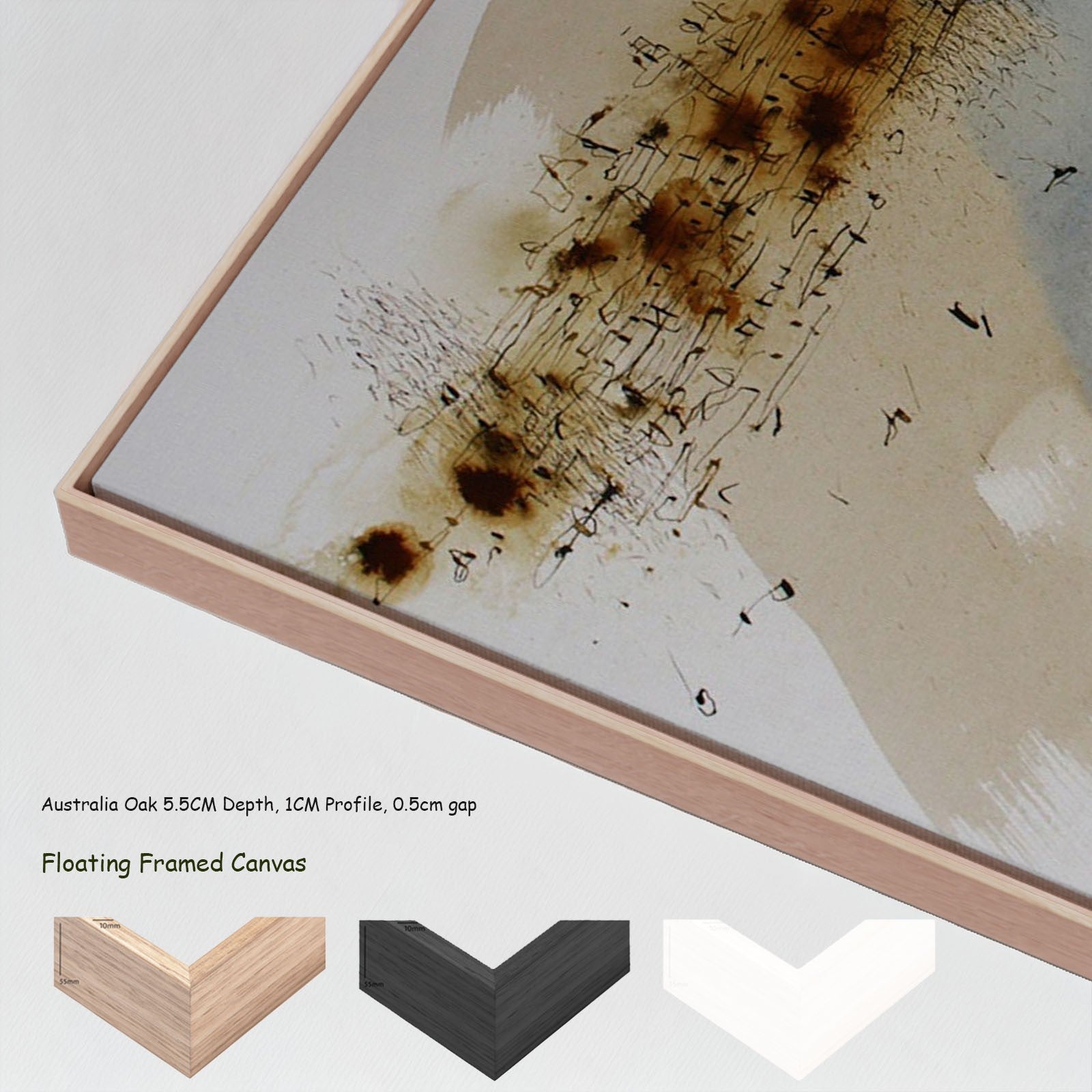 271N - 271N_floating_frames_canvas_7