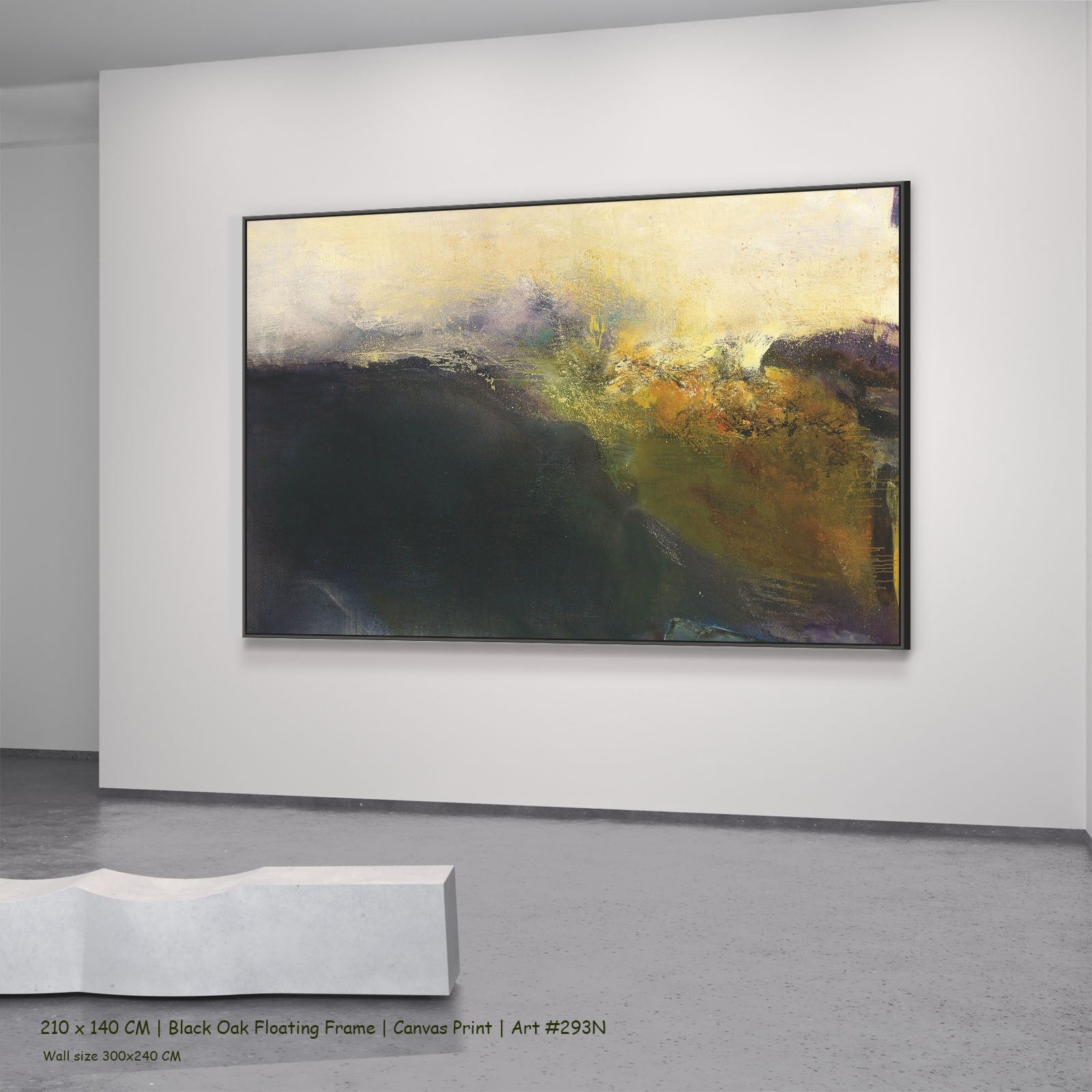 293N - 293N_210x140_black_oak_floating_frame_3