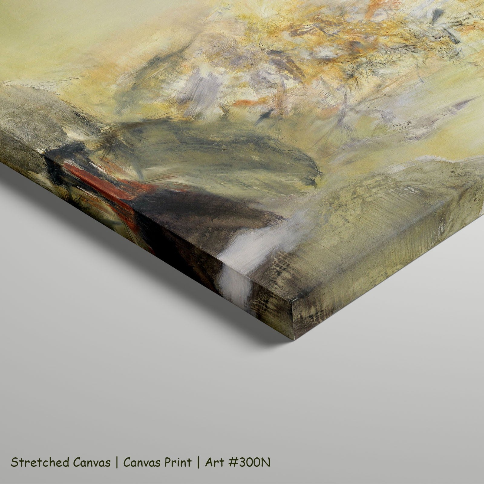300N - 300N_stretched_canvas_5