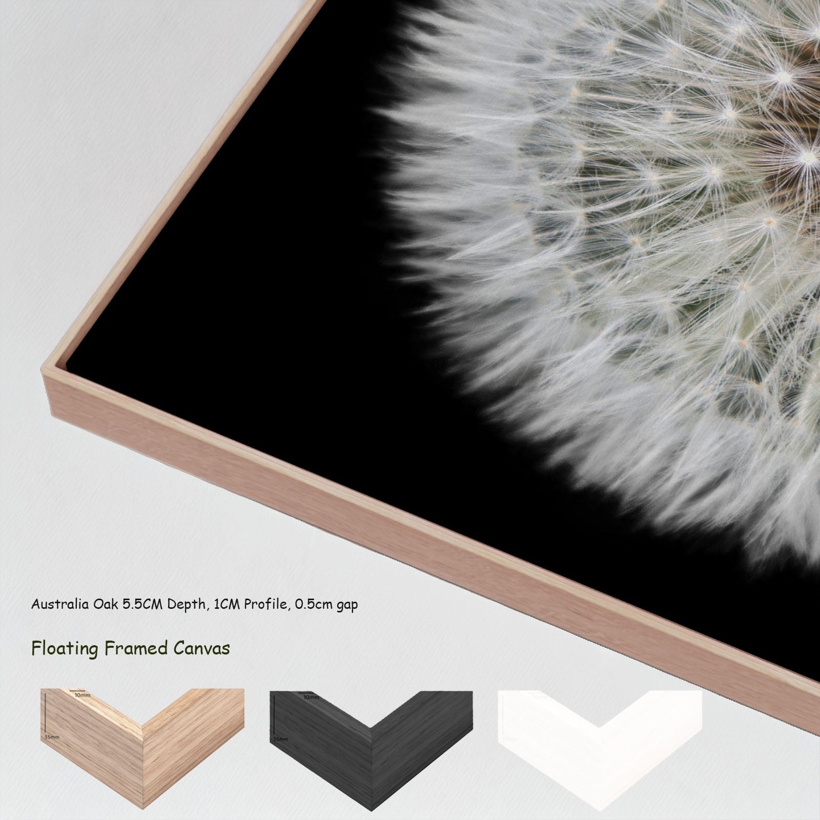 684N - 684N_floating_frames_canvas_7