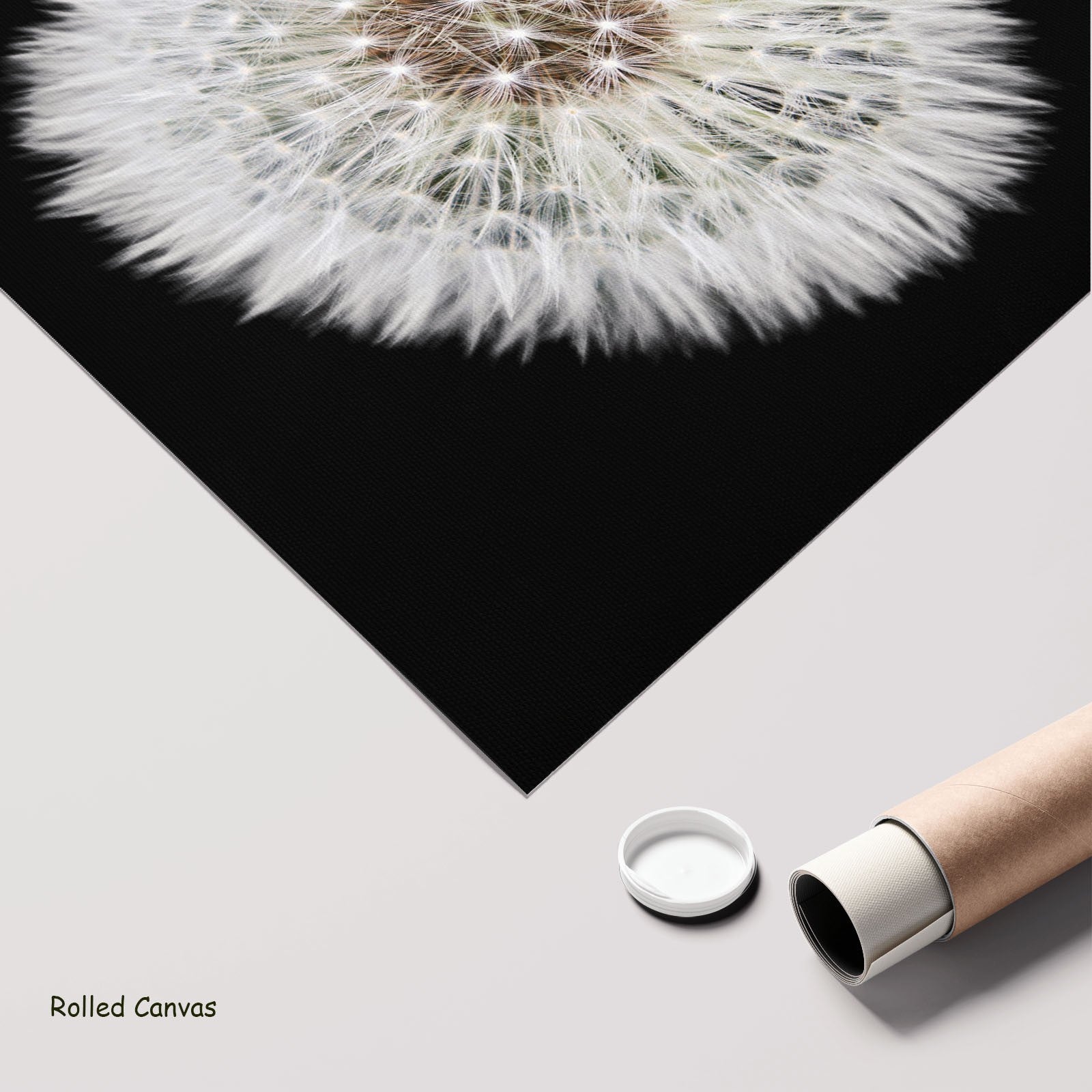 684N - 684N_rolled_canvas_6