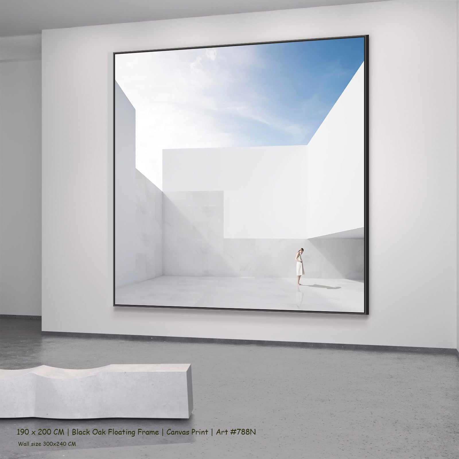 788N - 788N_190x200_black_oak_floating_frame_3