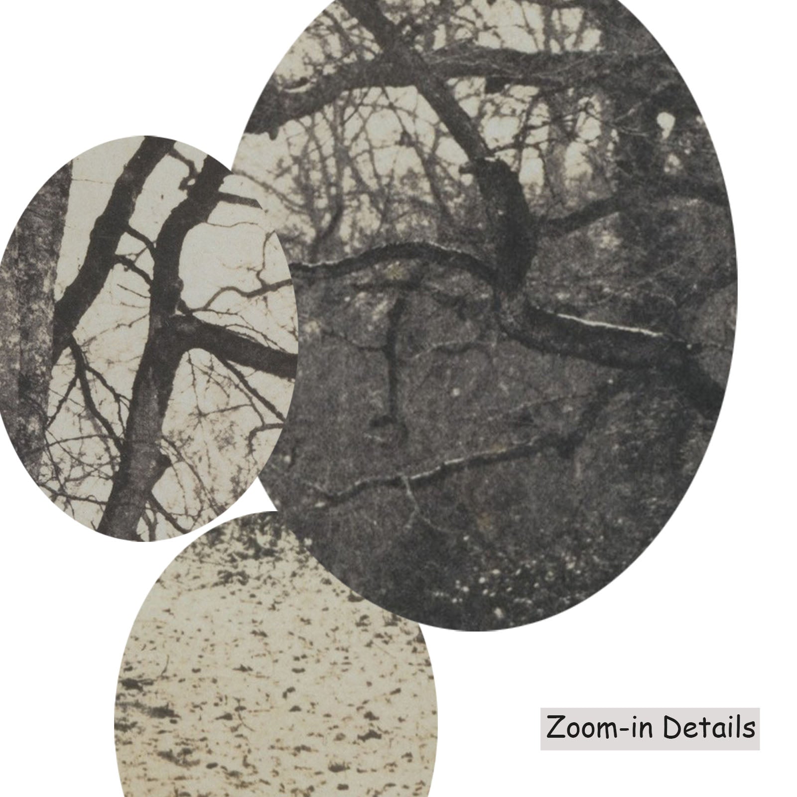 Fontainebleau Forest canvas — close-up detail of the framed canvas print