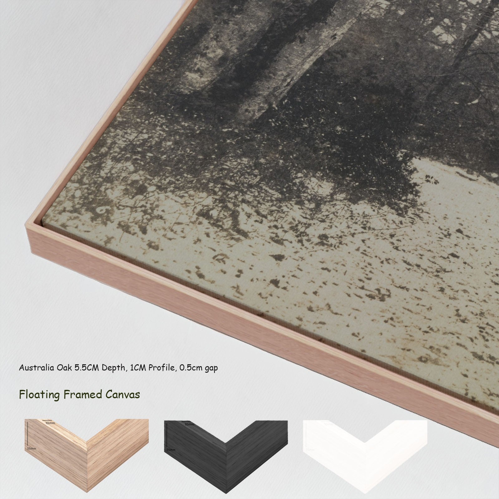 Fontainebleau Forest canvas wall art with floating frame options