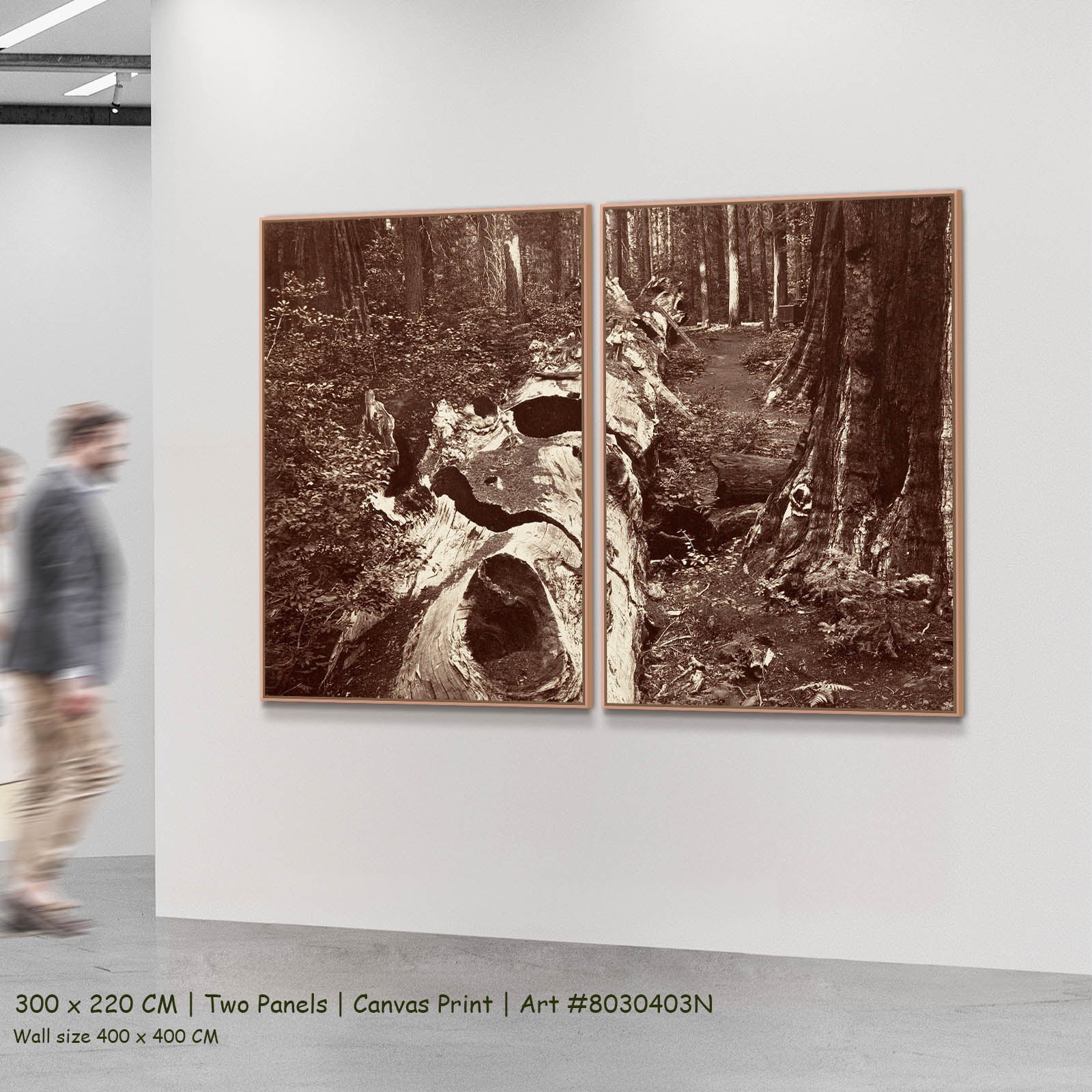 The Father of the Forest, Calaveras Grove Landscape two-panel canvas wall art set, 300 × 220 cm