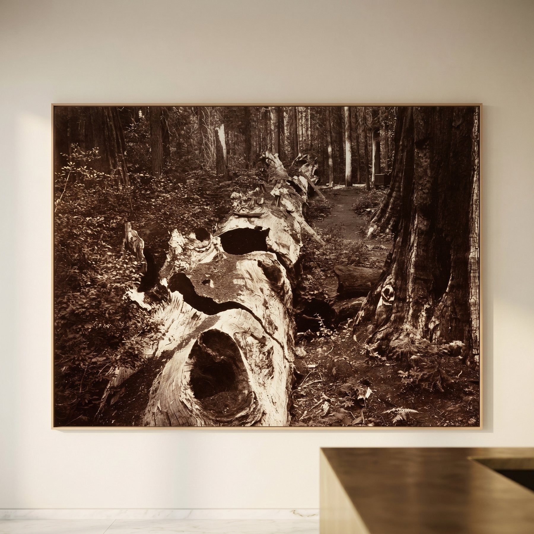 The Father of the Forest, Calaveras Grove Large Forest Landscape canvas wall art framed and hung on a wall by Carleton E.