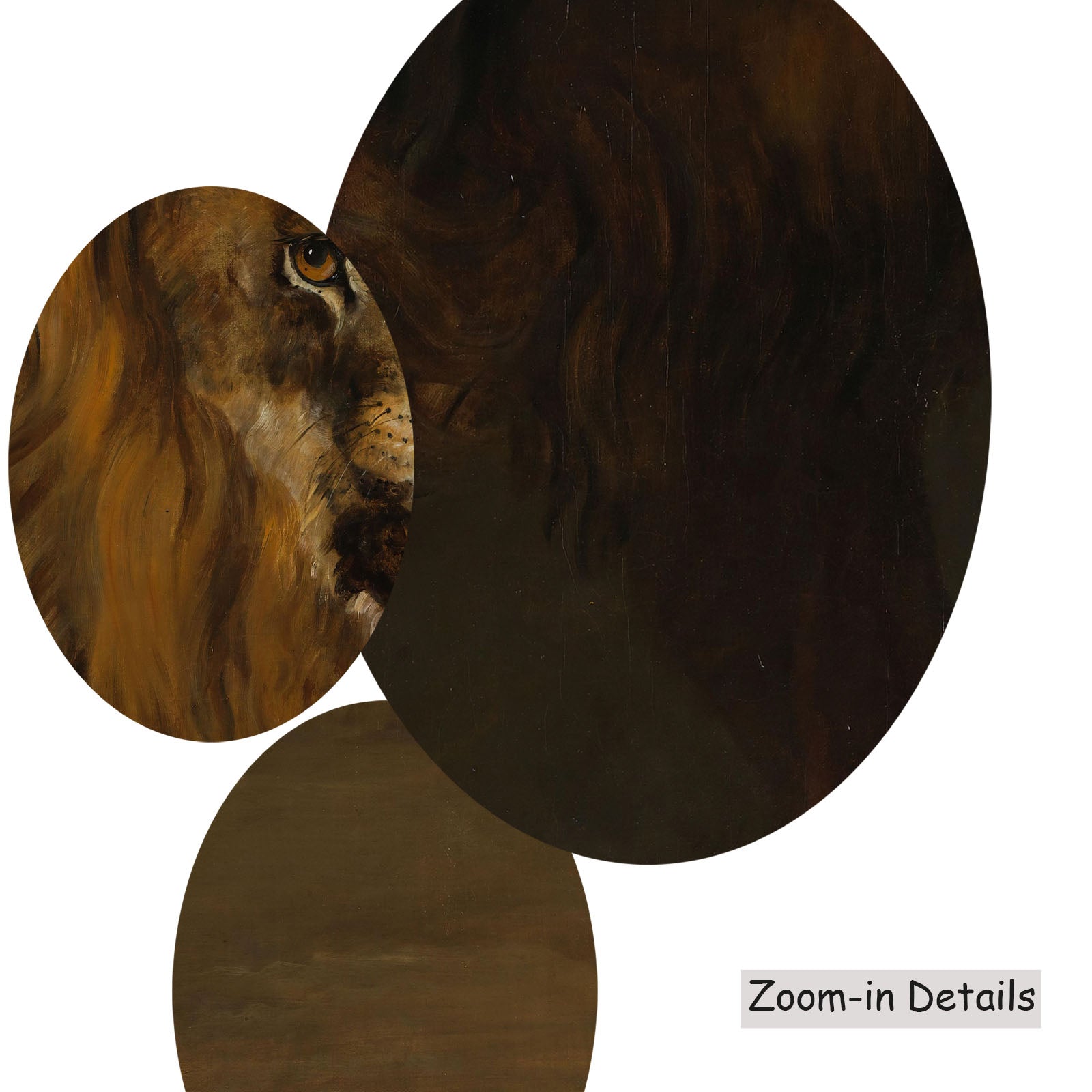 A Lion from the Menagerie of King Louis Napoleon canvas — close-up detail of the framed canvas print