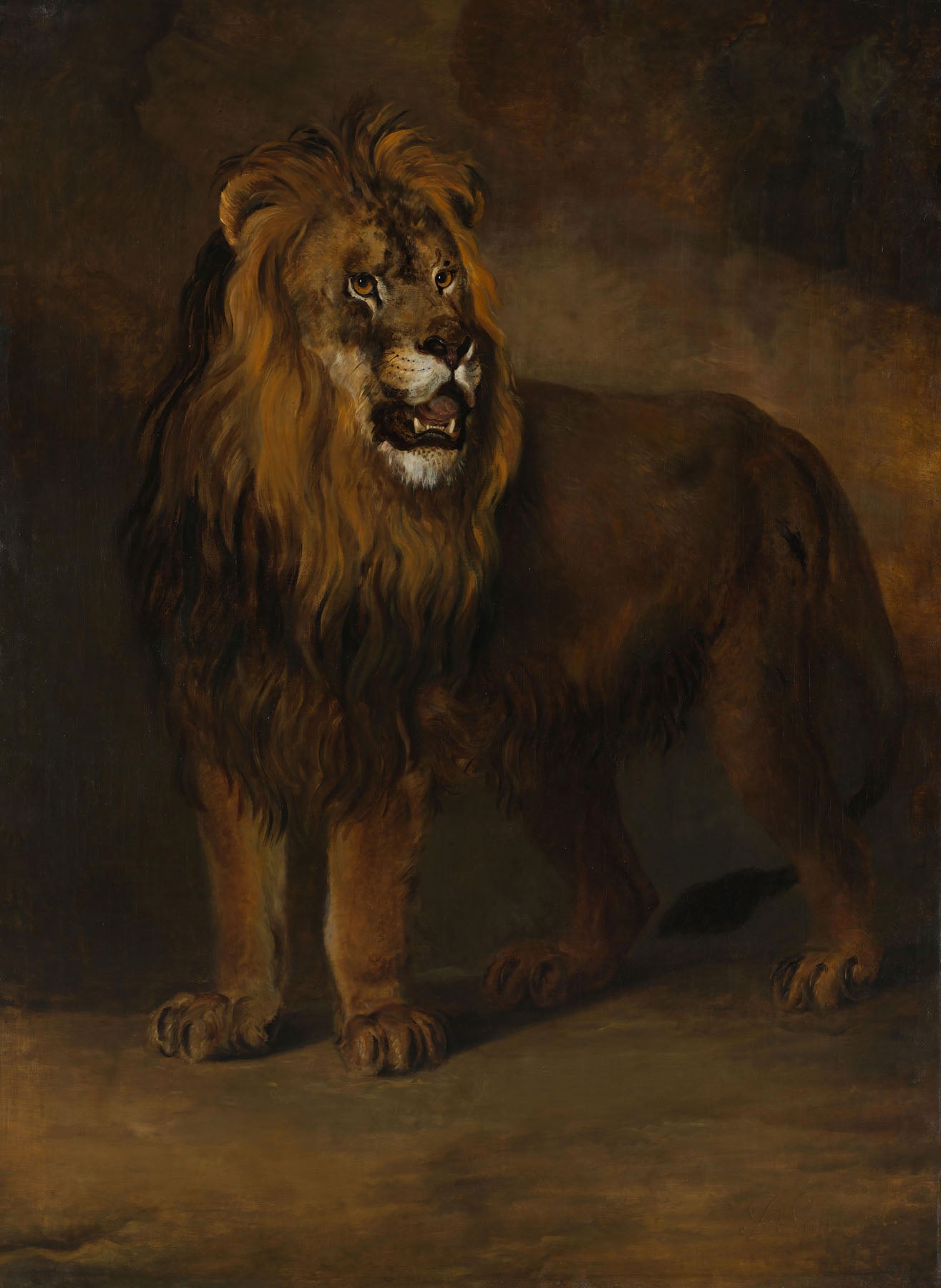 A Lion from the Menagerie of King Louis Napoleon — Tall Wildlife canvas wall art by Pieter Gerardus van Os