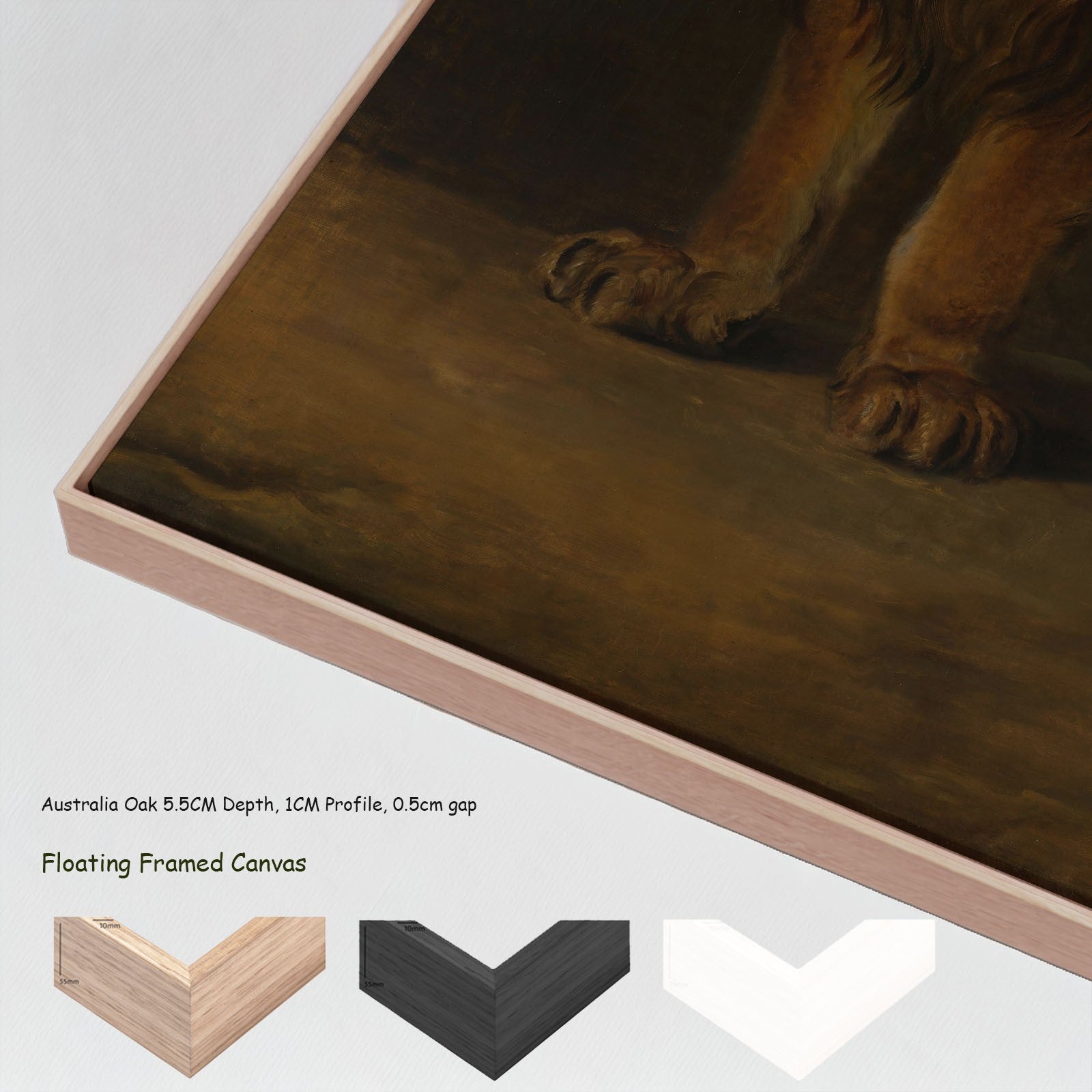 A Lion from the Menagerie of King Louis Napoleon canvas wall art with floating frame options