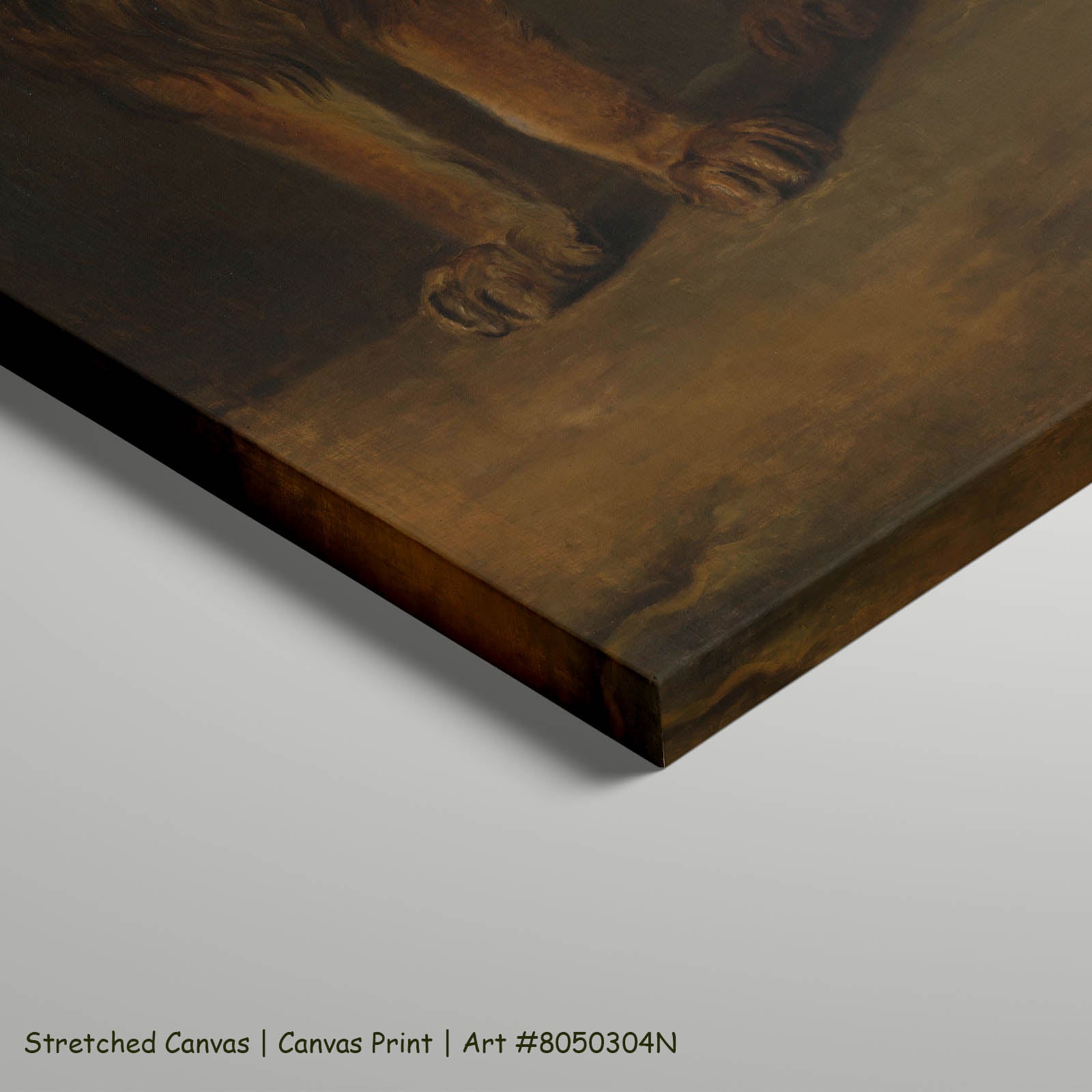 A Lion from the Menagerie of King Louis Napoleon Wildlife art on stretched canvas