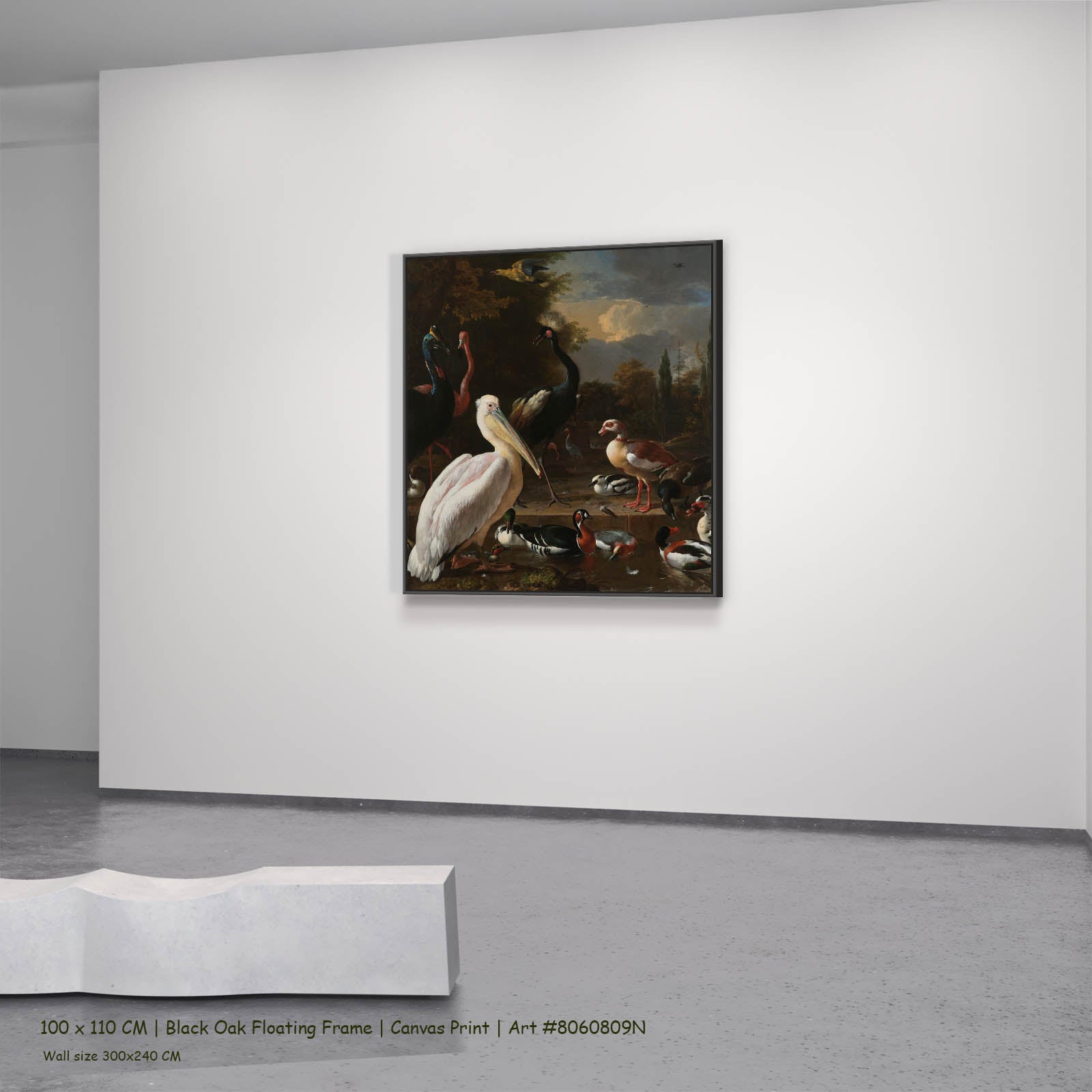 A Pelican & Other Birds (The Floating Feather) Wildlife canvas wall art in a black oak floating frame, 100 × 110 cm