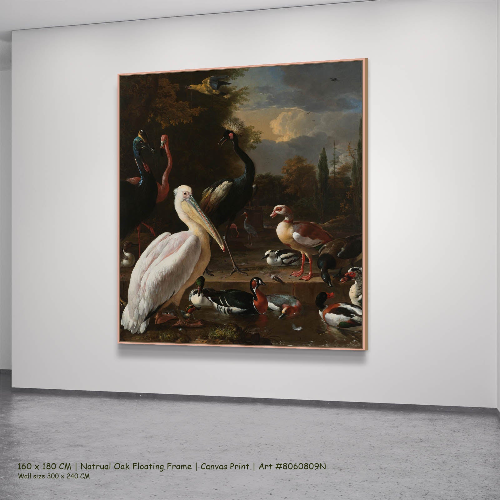A Pelican & Other Birds (The Floating Feather) Wildlife canvas wall art in a natural oak floating frame, 160 × 180 cm