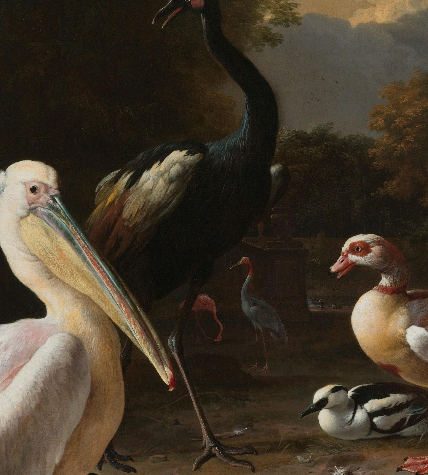 A Pelican & Other Birds (The Floating Feather) canvas — close-up detail of the framed canvas print