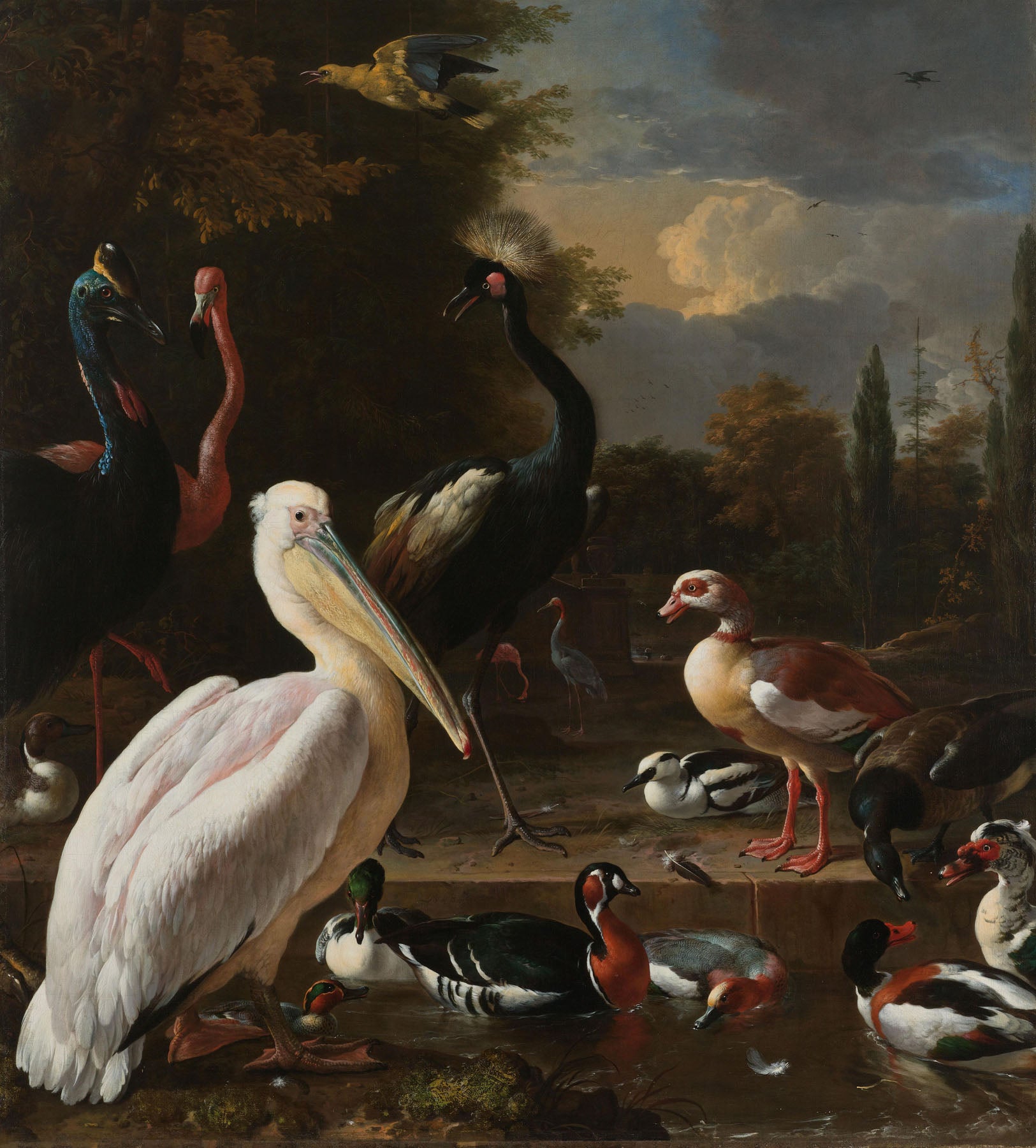 A Pelican & Other Birds (The Floating Feather) — Tall Baroque Wildlife canvas wall art by Melchior d'Hondecoeter