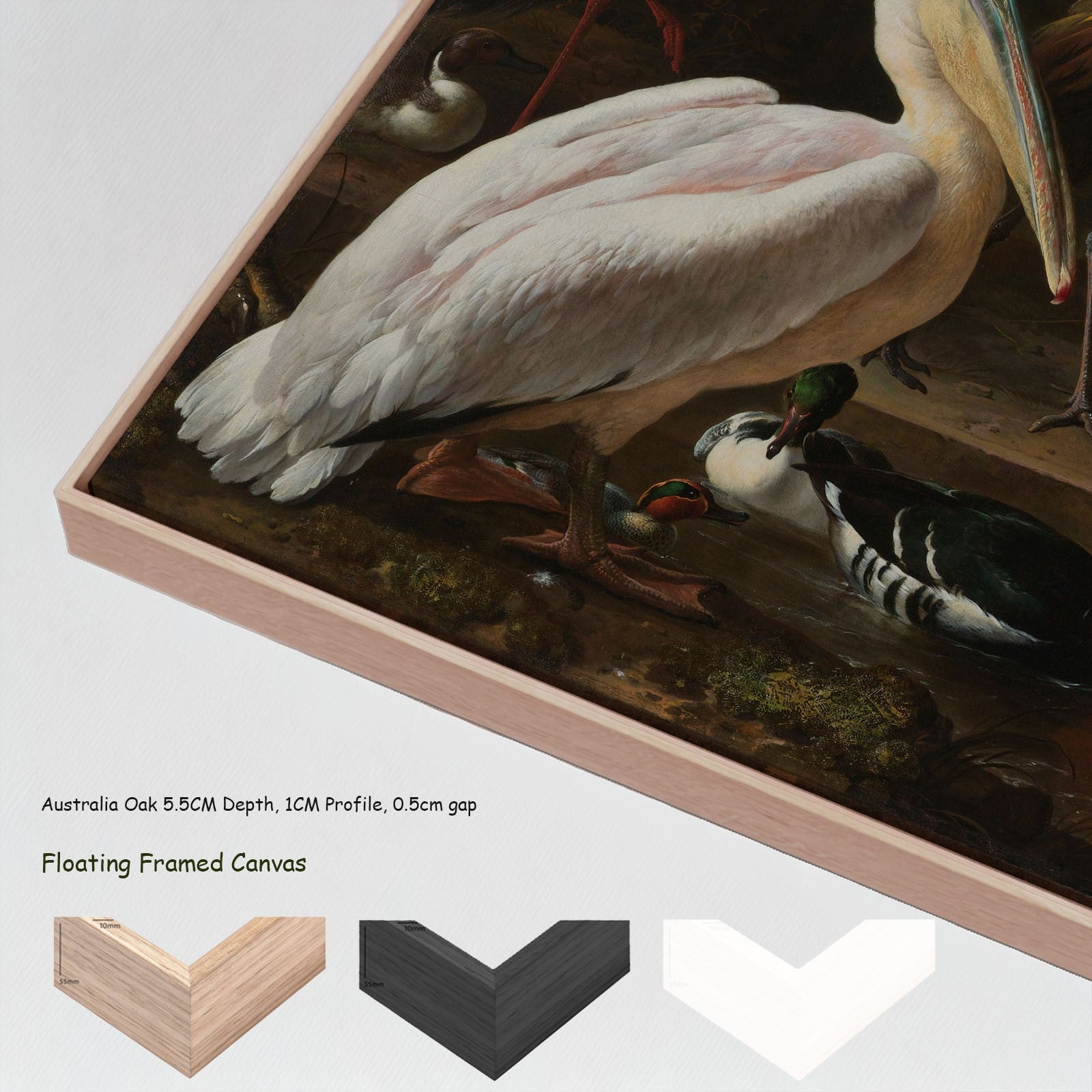 A Pelican & Other Birds (The Floating Feather) canvas wall art with floating frame options