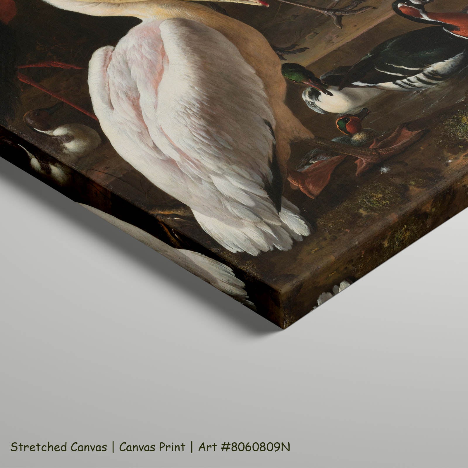 A Pelican & Other Birds (The Floating Feather) Wildlife art on stretched canvas