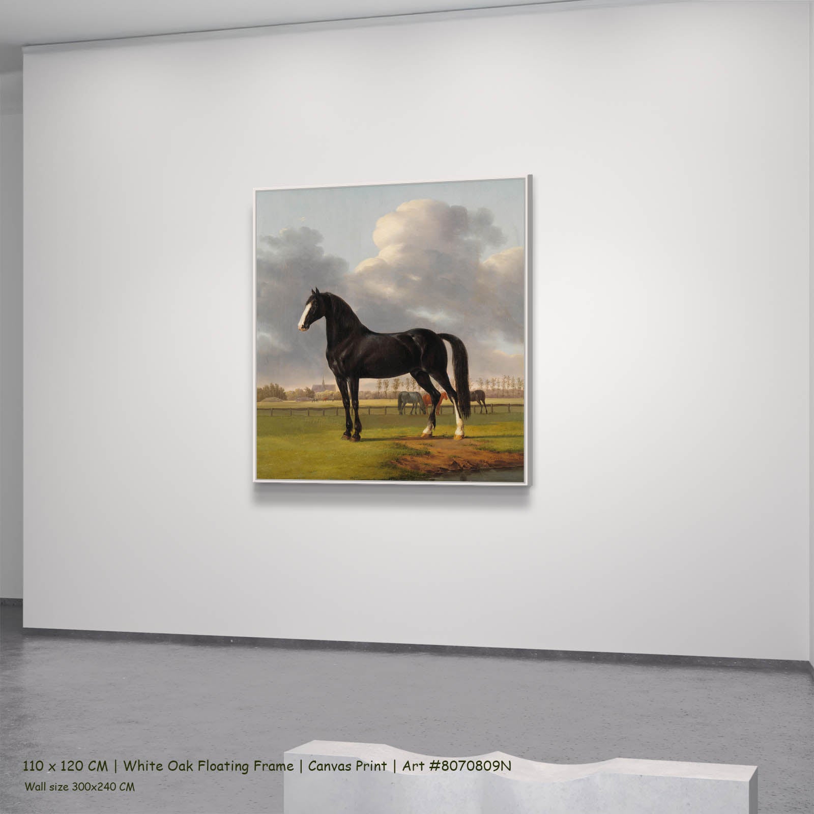 Adriaan van der Hoop's Trotter "De Vlugge" Equestrian canvas wall art in a white oak floating frame, 110 × 120 cm